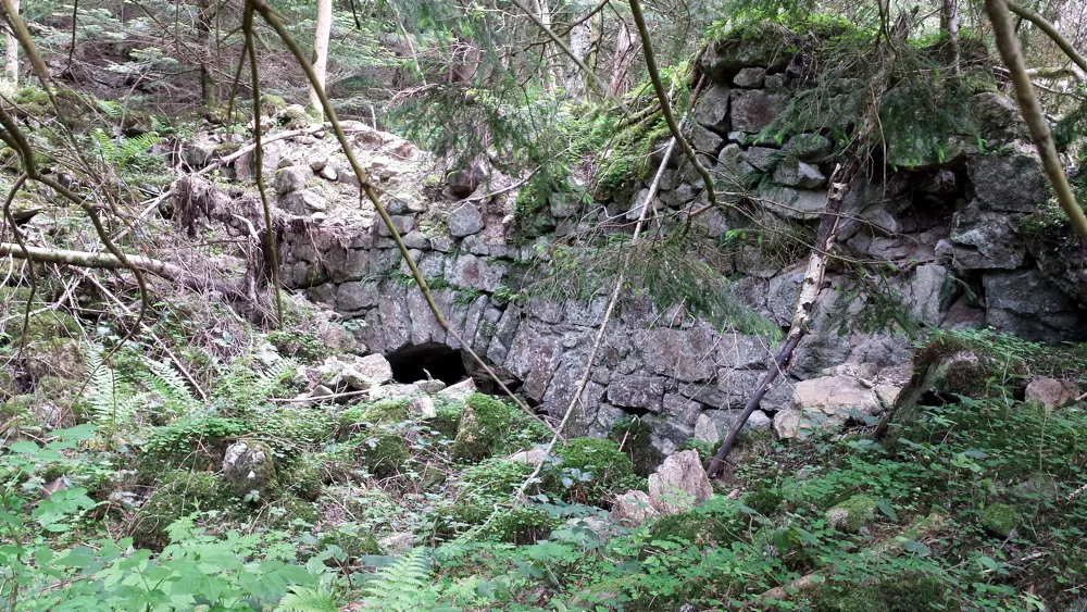 Photo showing: ruines aménagement moulins/biefs/scierie -  secteur du Grand Bois, sud du lieu-dit Godemar - Pilat (Loire)