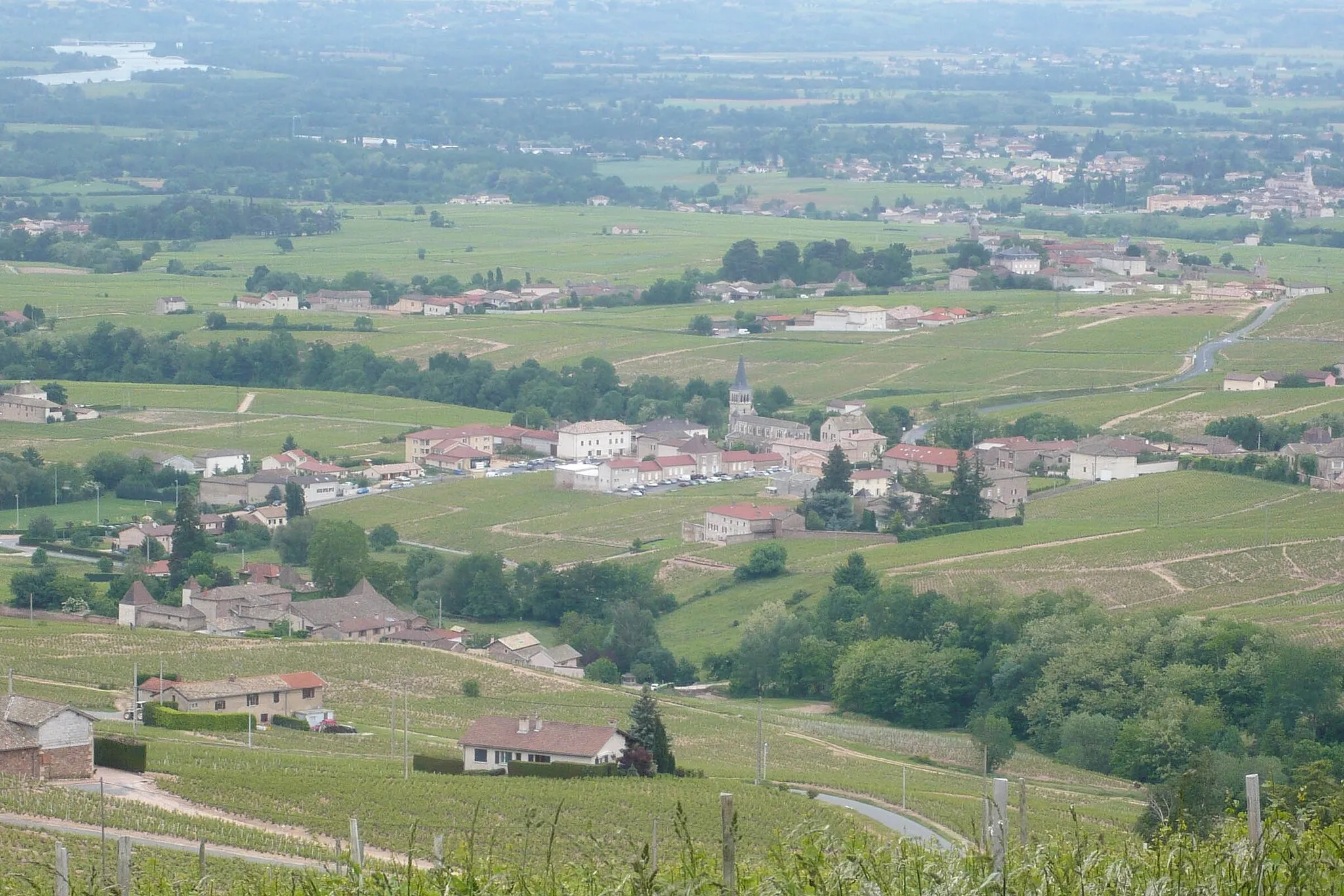 Photo showing: Vignoble du Moulin à Vent à Chénas (Rhône) en 2009.