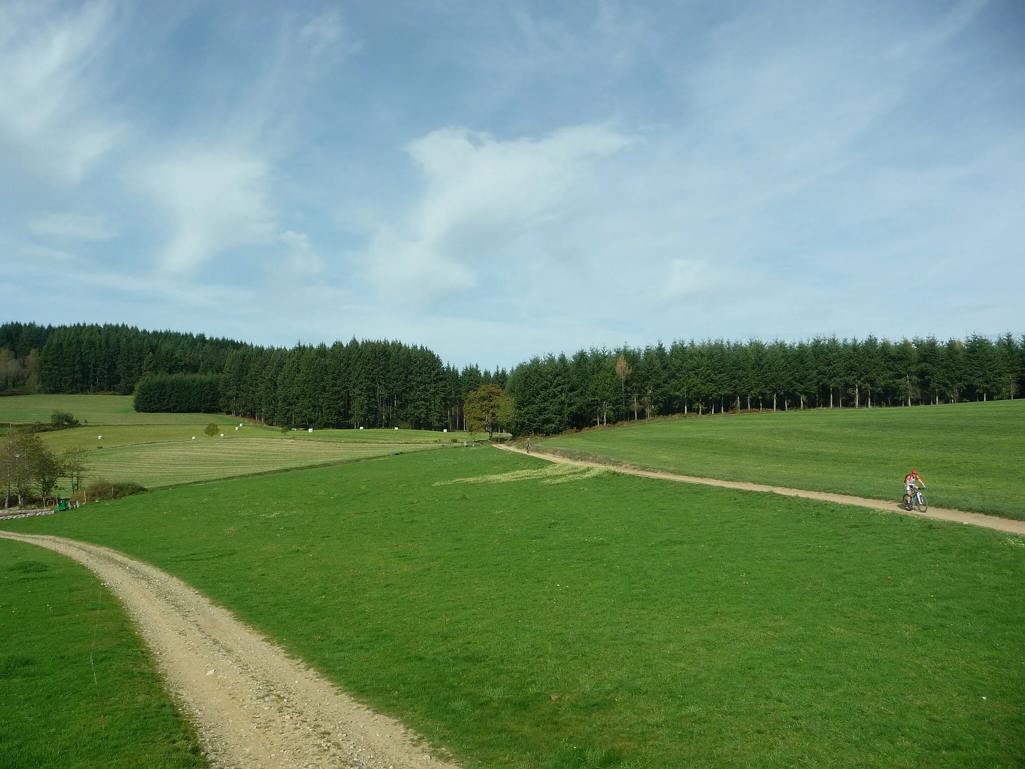 Photo showing: Un rallye VTT passant par le col de la Casse Froide (juste un peu plus loin à la limite du bois) au mois de novembre.