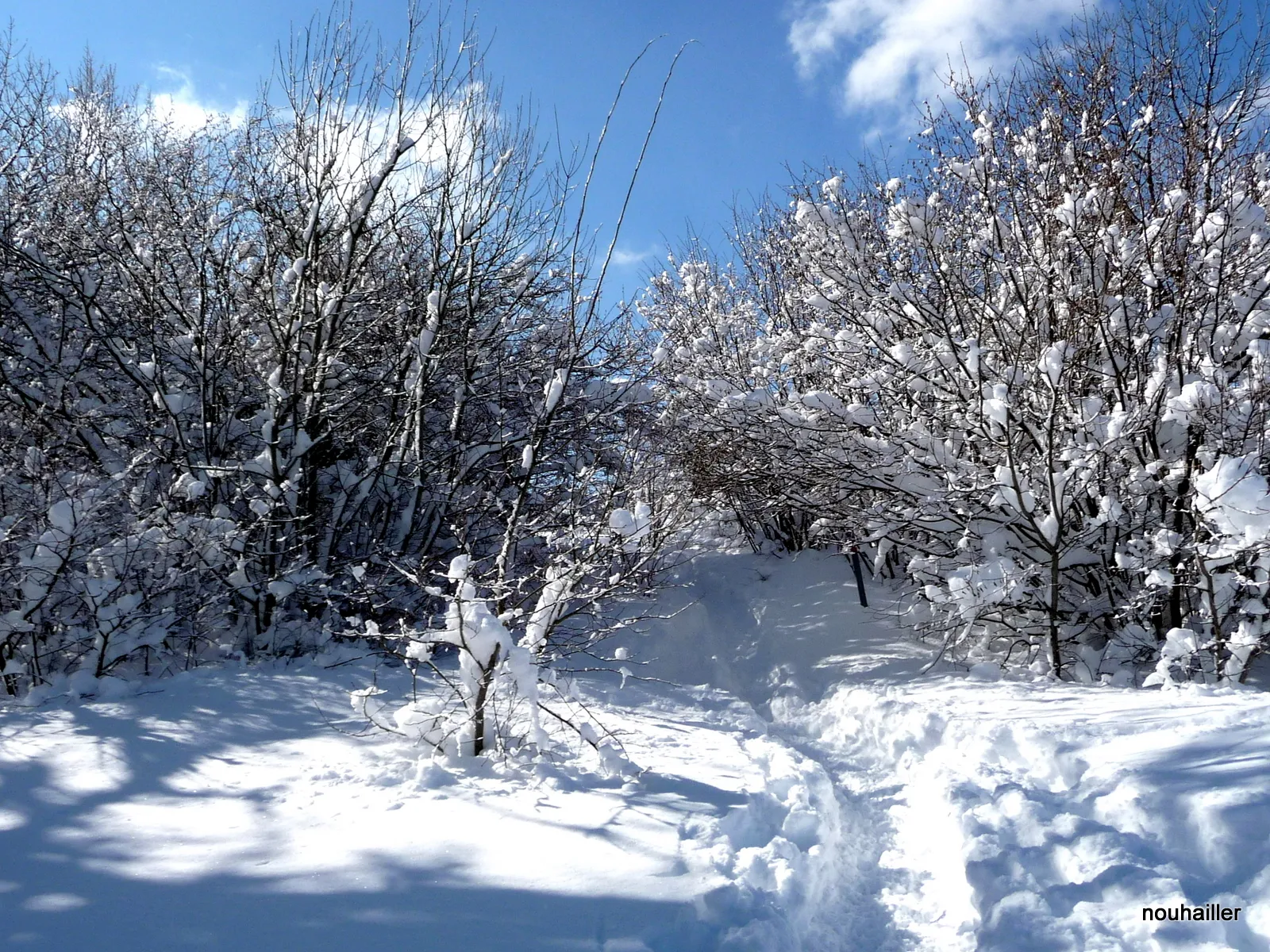 Photo showing: The Saleve during Winter