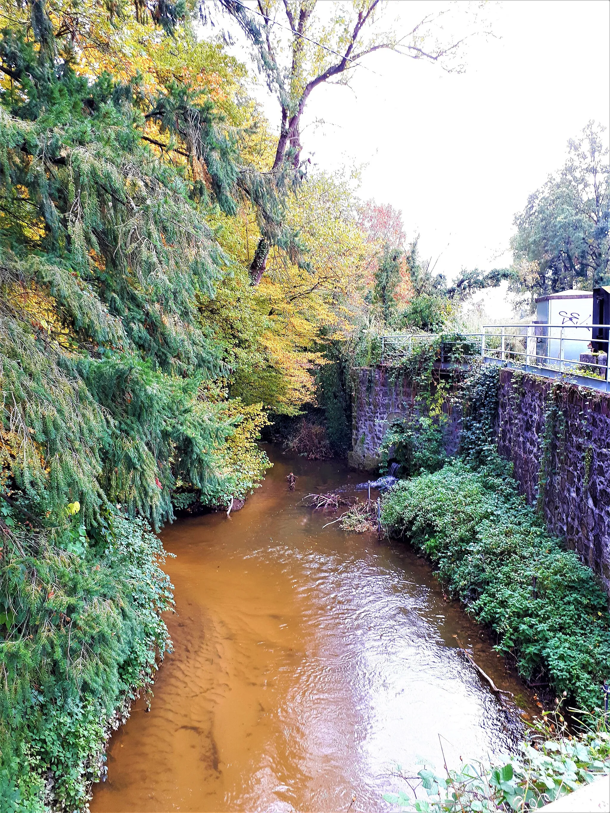 Photo showing: Le Volvon au pied de la voie ferrée Saint-Etienne - Roanne.