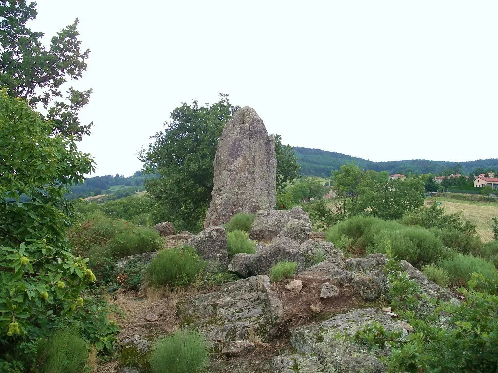 Photo showing: Pseudo menhir du Flat à Colombier (Loire)