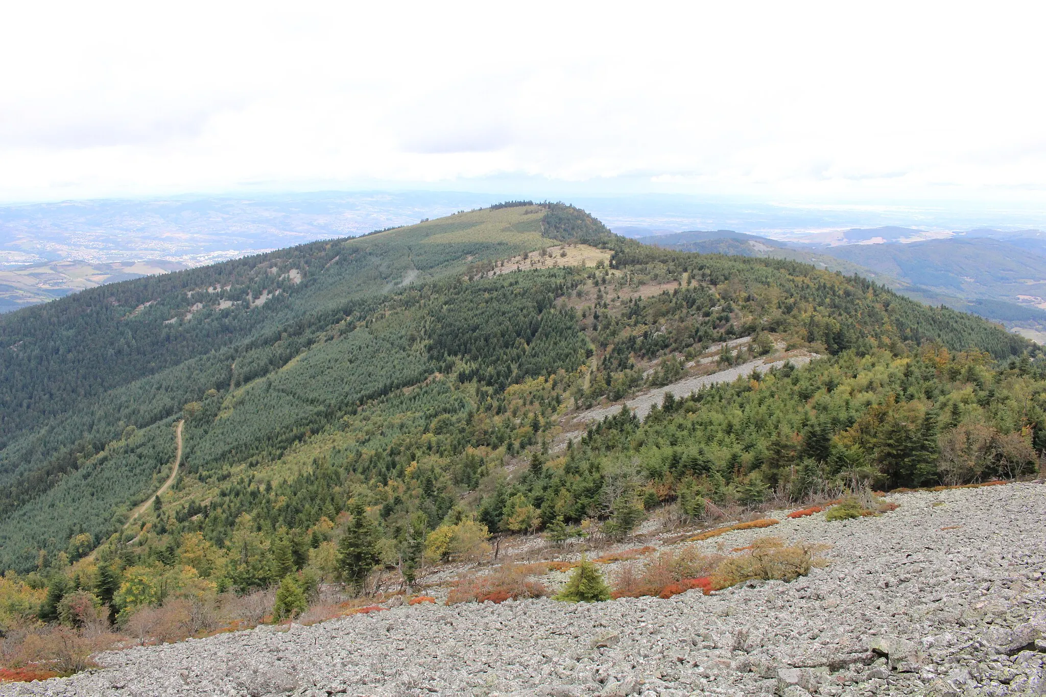 Photo showing: Chaux de Toureyre, Doizieux.