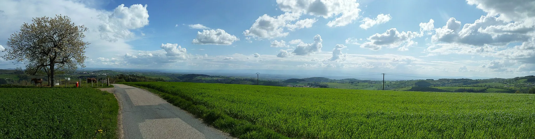 Photo showing: Panorama vers le sud depuis le Vivier à Montchal (Loire)