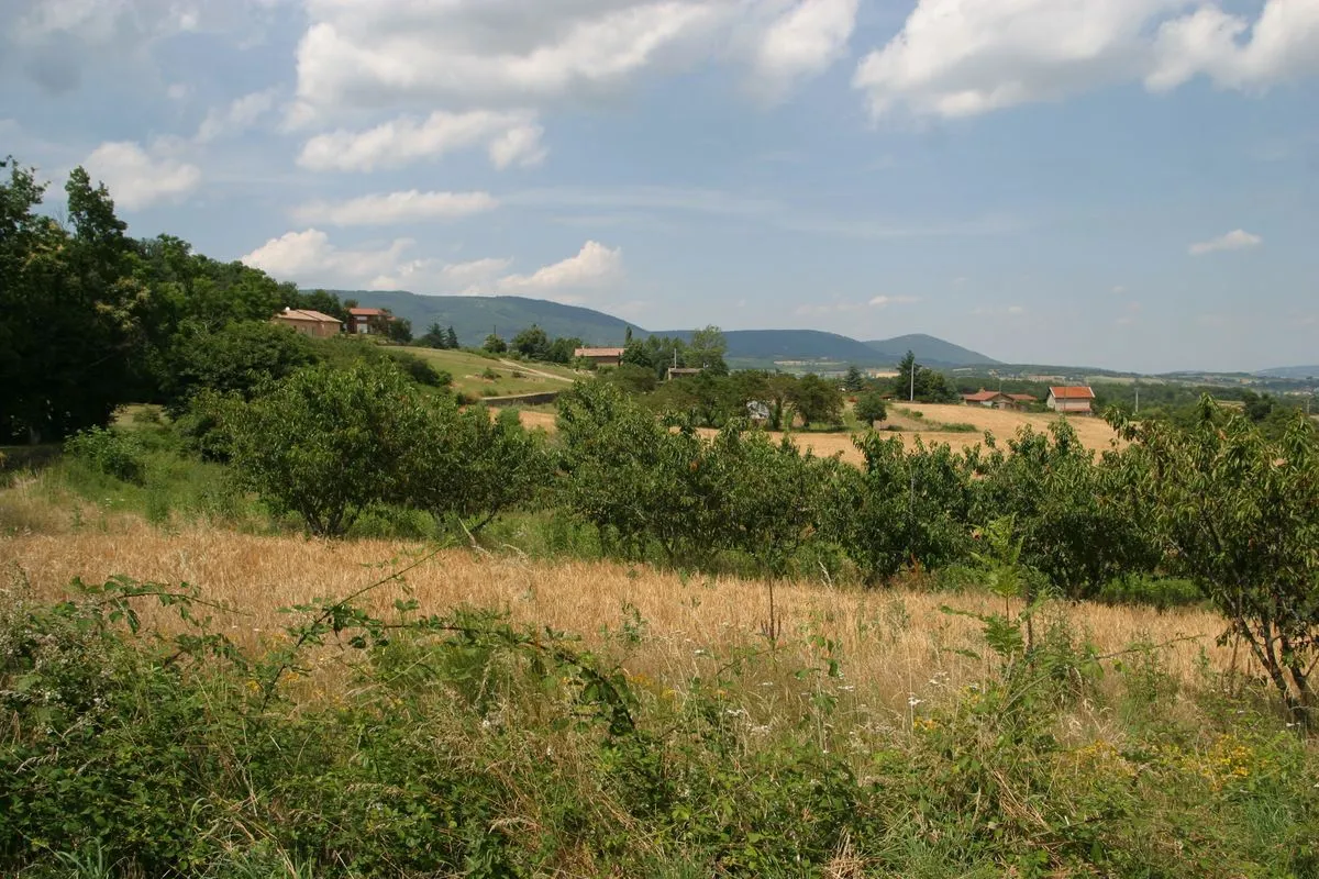 Photo showing: Agriculture diversifiée, un patchwork à préserver