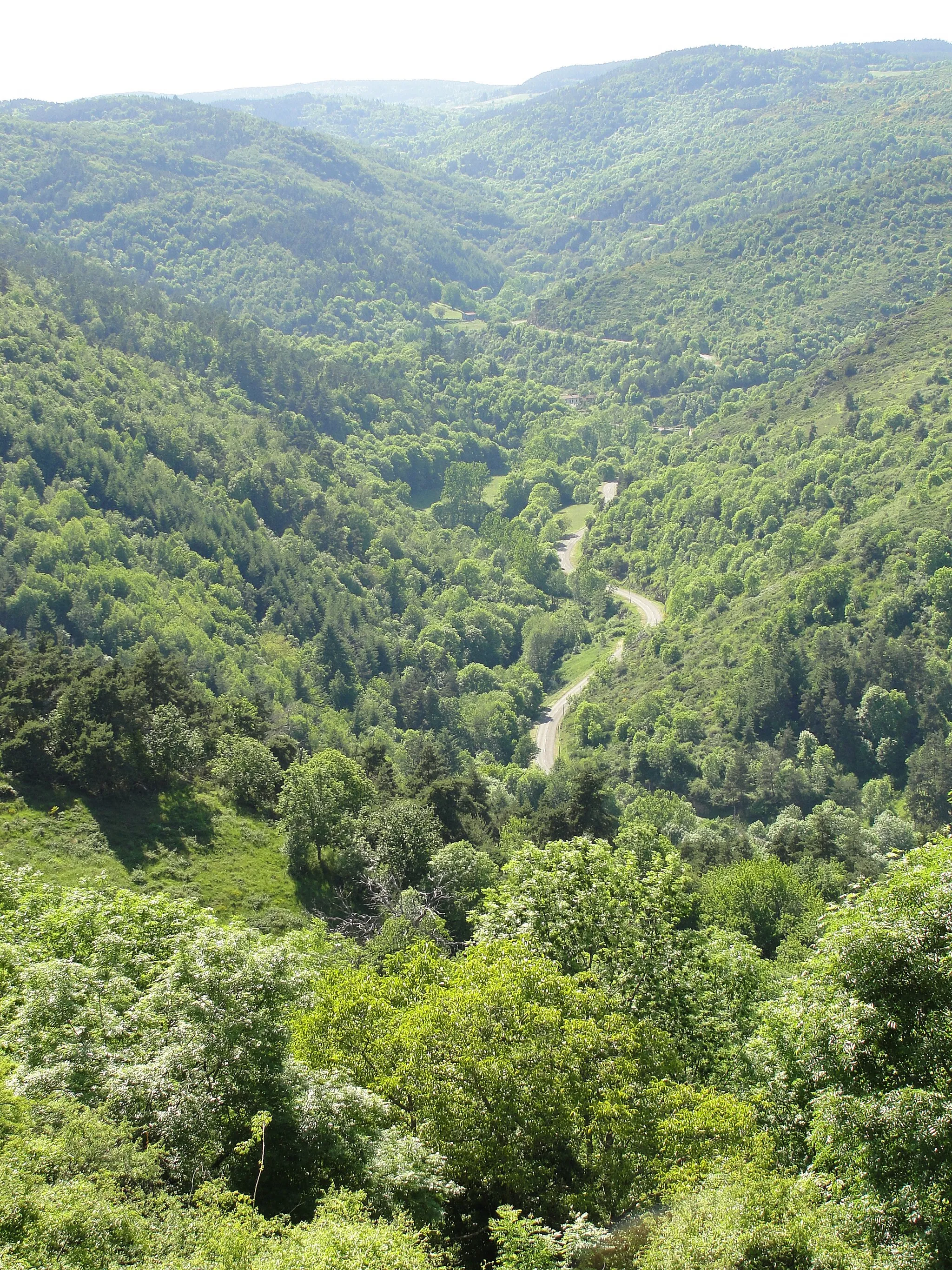 Photo showing: Exemple de vue depuis ancienne forteresse médiévale de Sail (Loire). Un paysage très verdoyant !