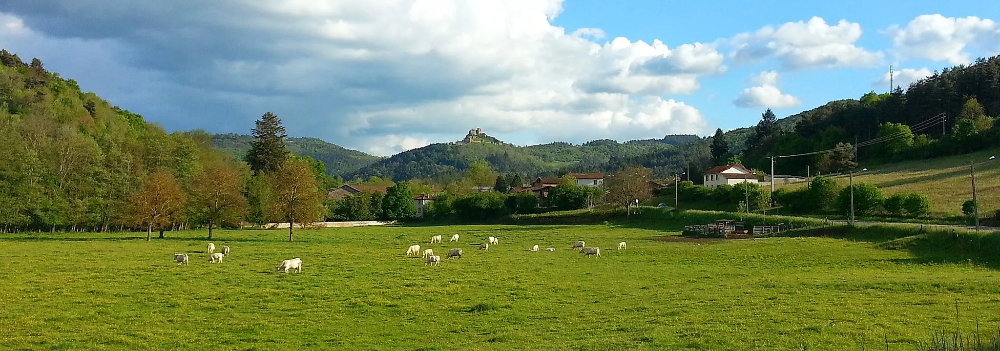 Photo showing: Le château de Sail-sous-Couzan, en quittant la vallée