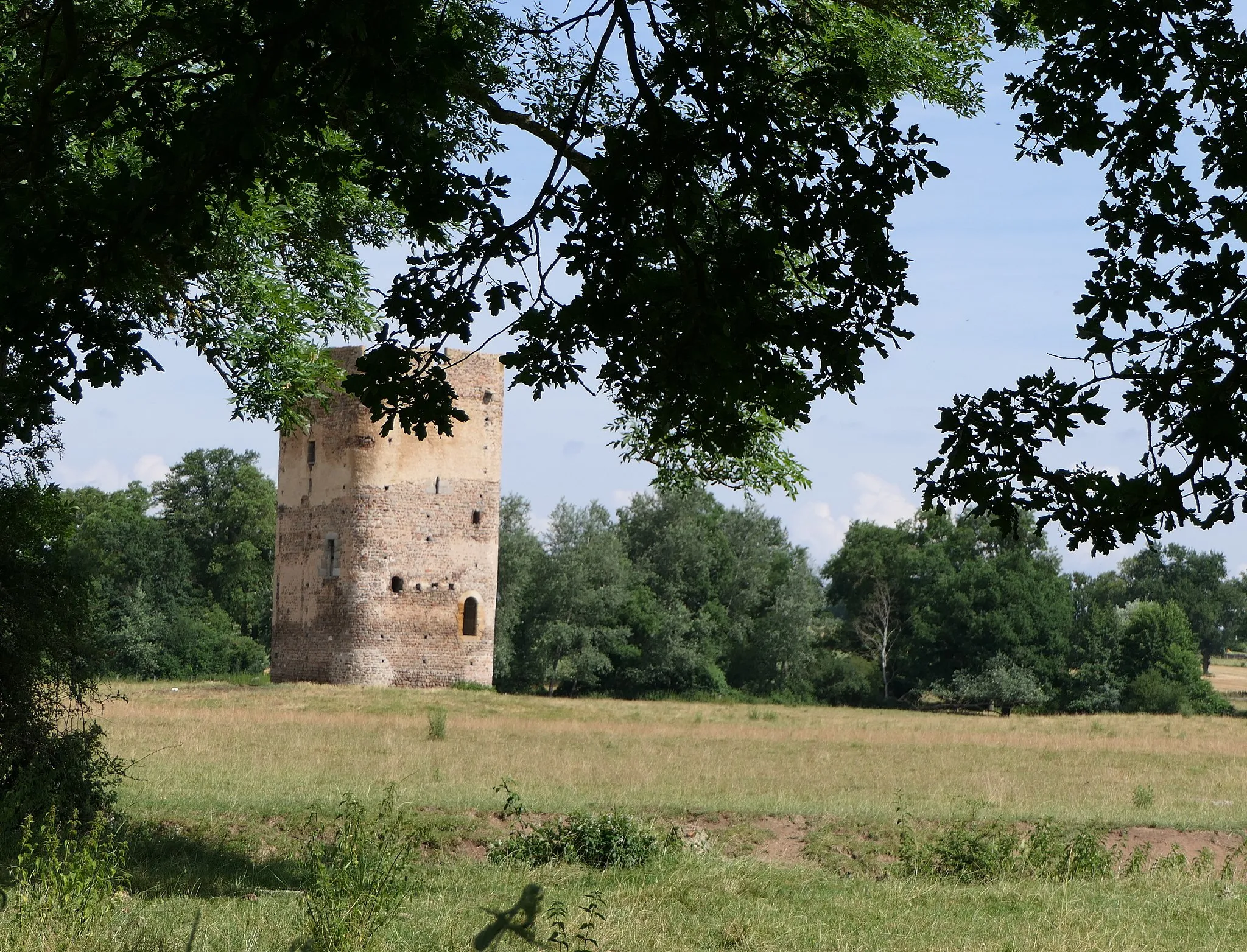 Photo showing: Saint-Forgeux Lespinasse, le donjon