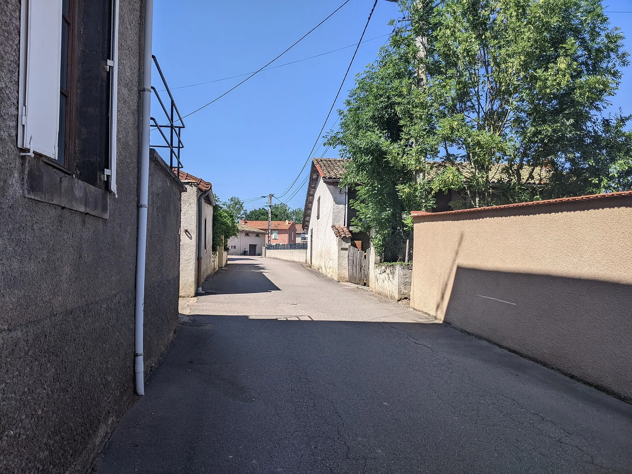 Photo showing: Vue du chemin des Rameaux, à Saint-Julien-d'Oddes (Loire, France).