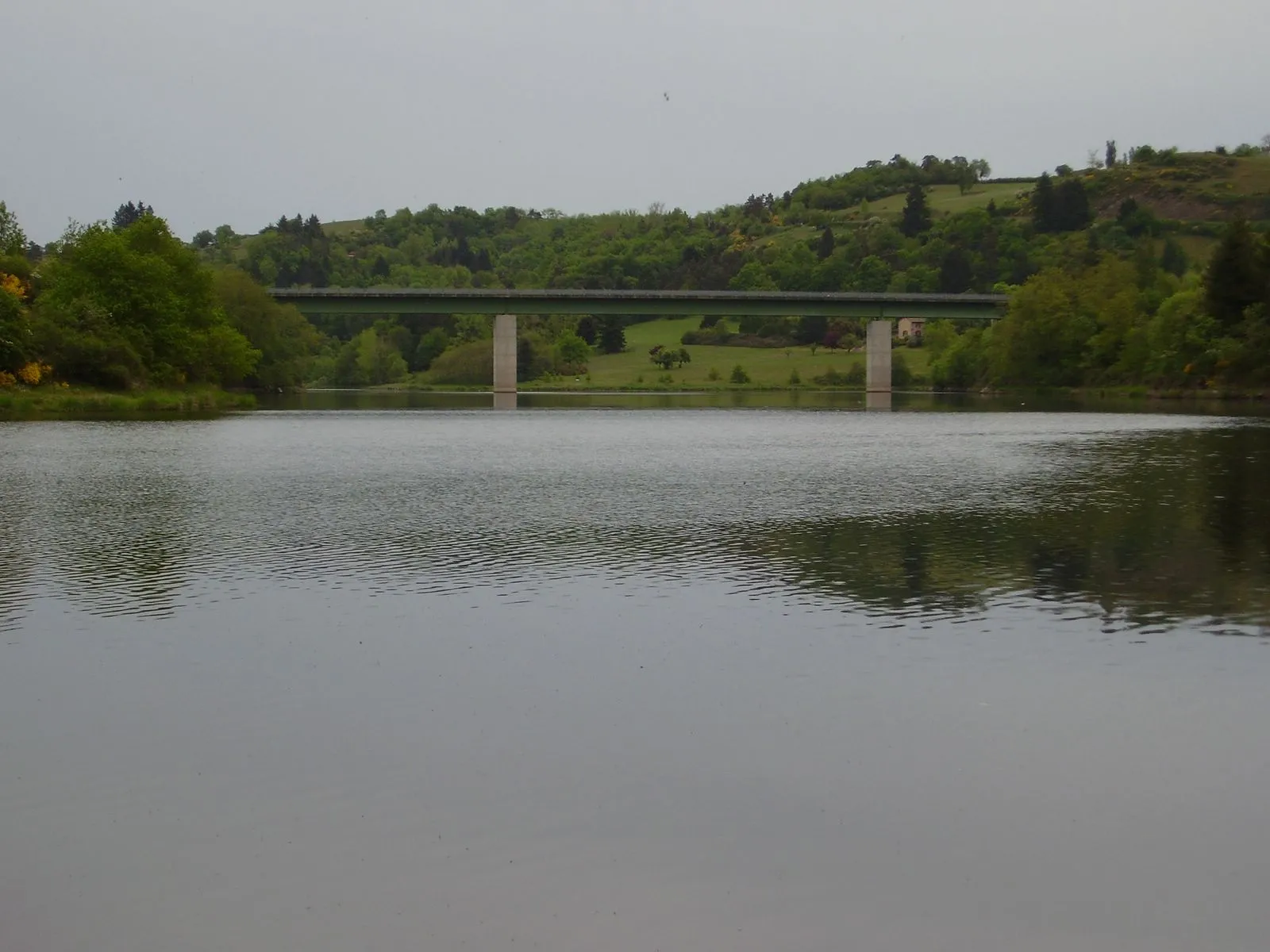 Photo showing: Pont sur La Loire. Lac de Villerest