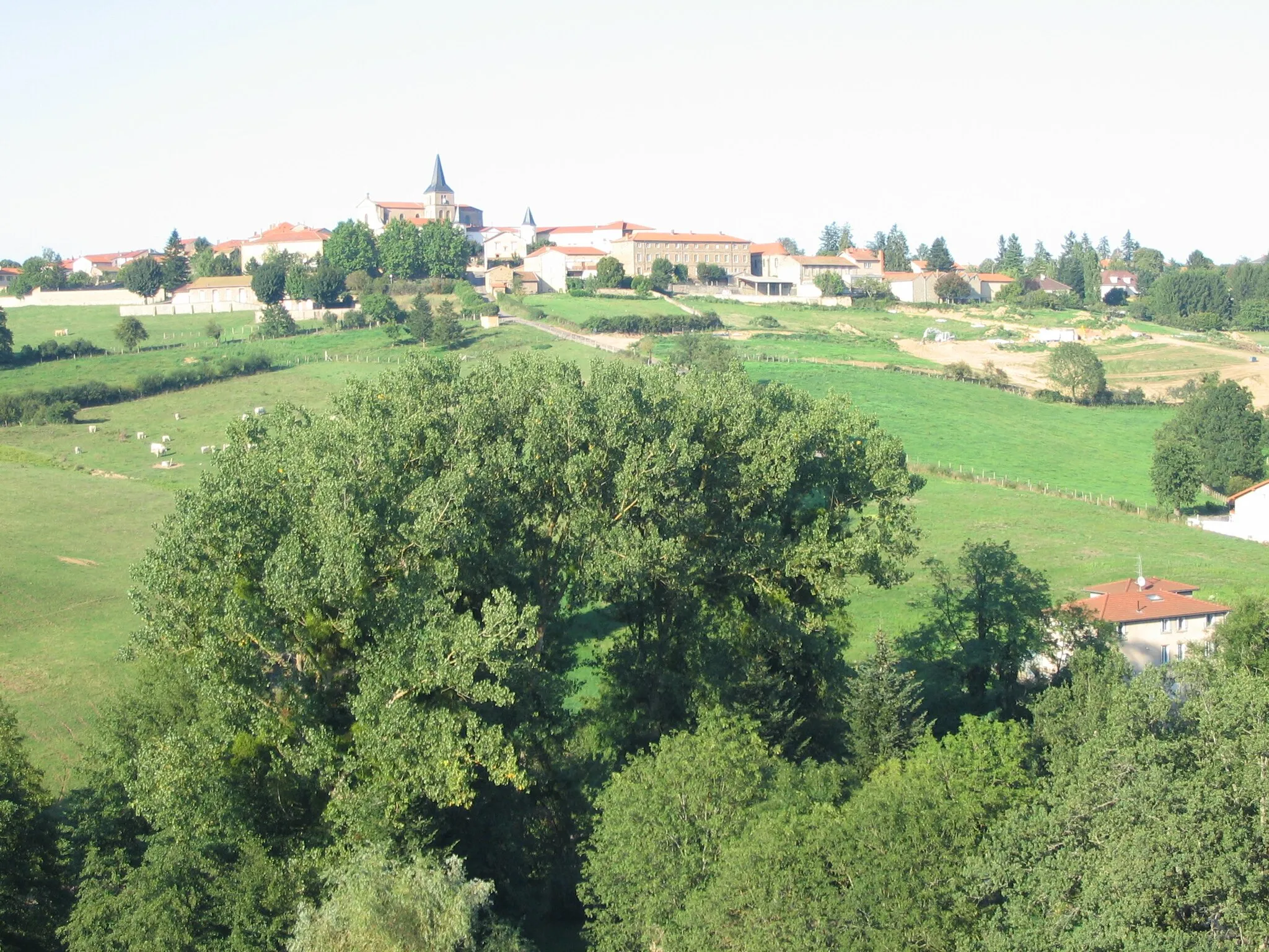 Photo showing: Village de St-Symphorien de Lay (Loire) depuis viaduc de la Roche.