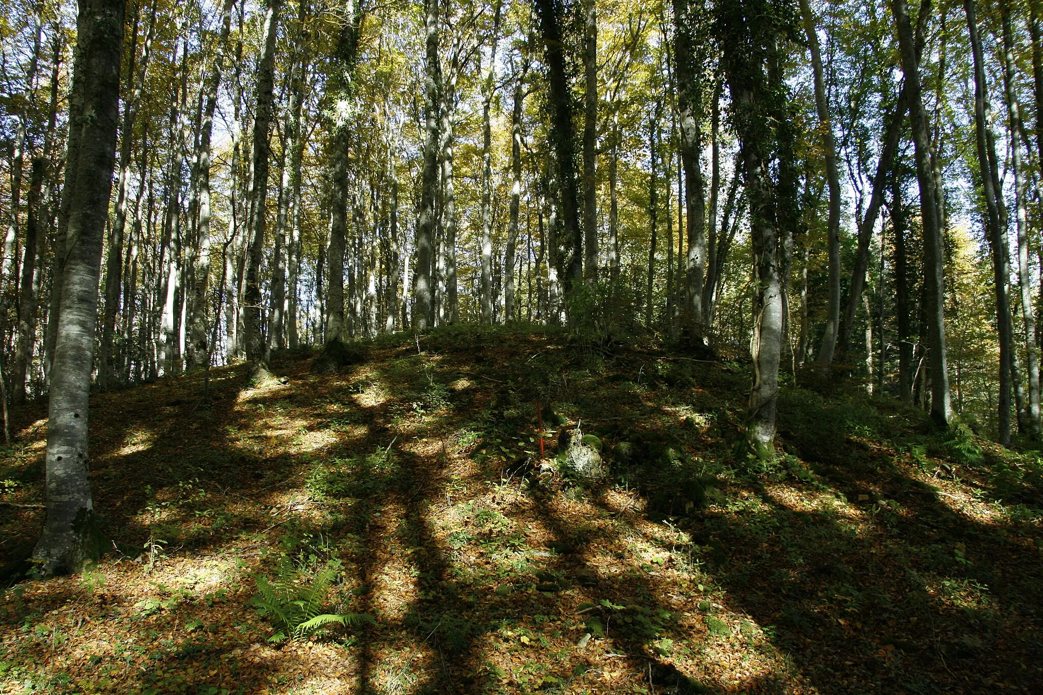 Photo showing: Sommet du Trè Pellay; Aranc; Ain; France