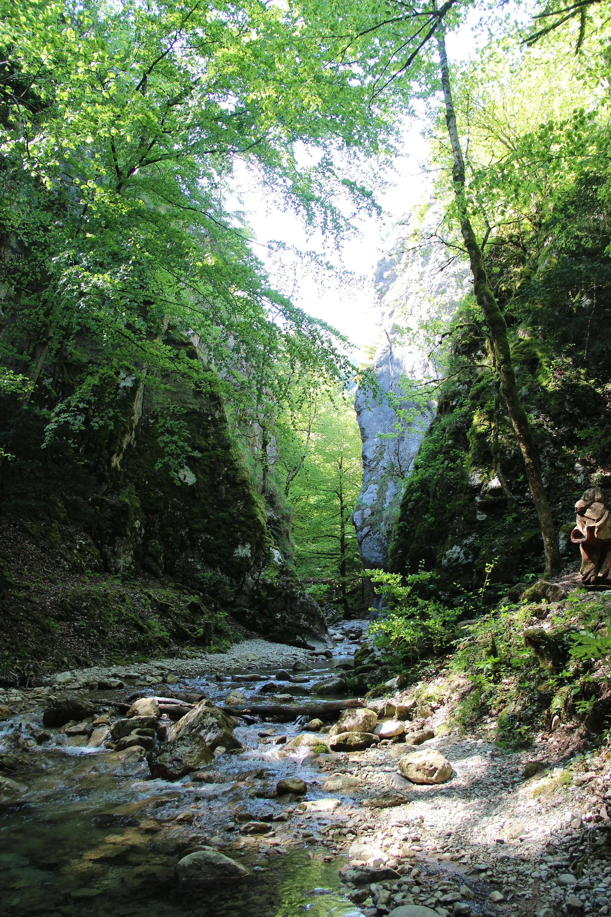 Photo showing: Portes Sarrazines