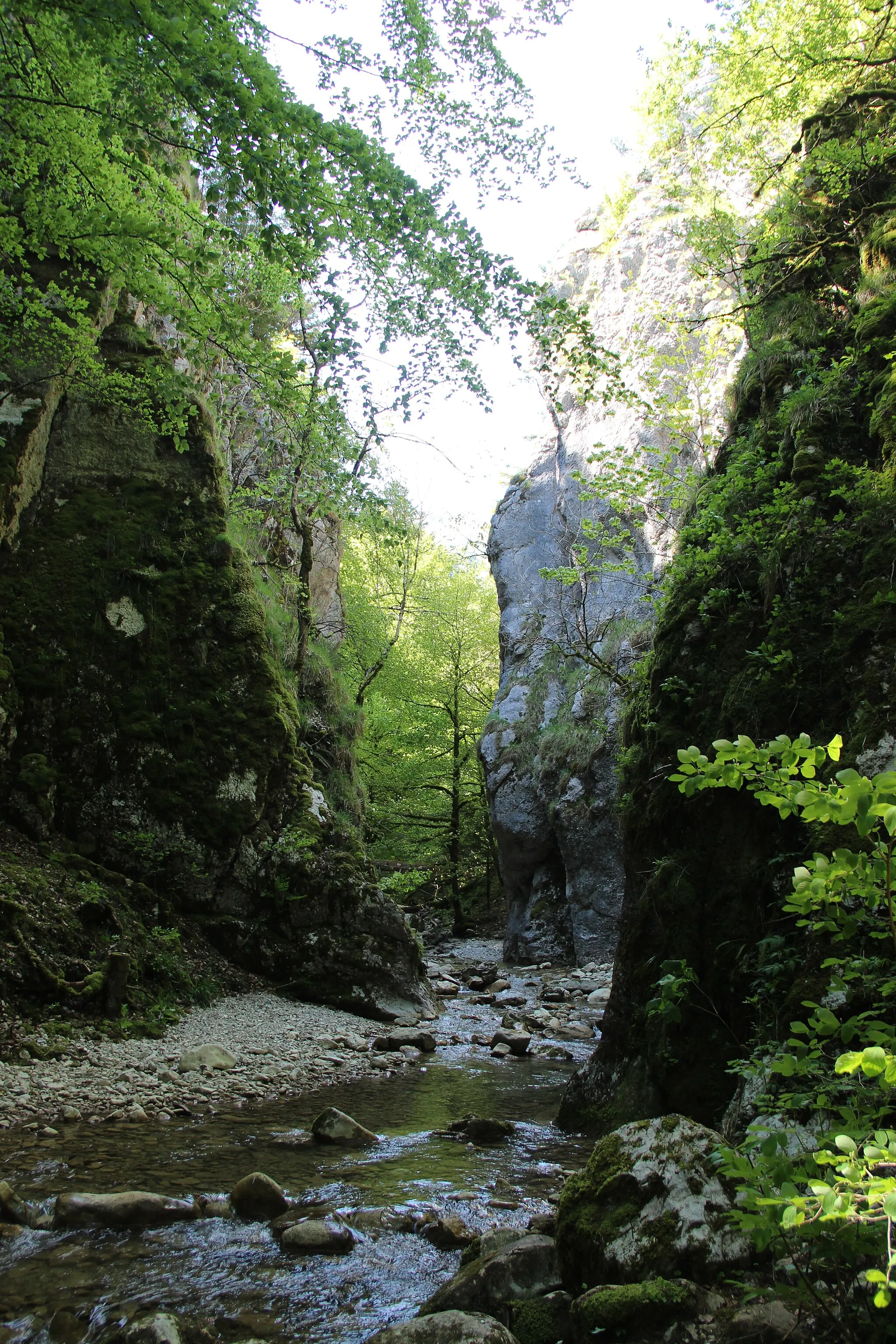 Photo showing: Portes Sarrazines