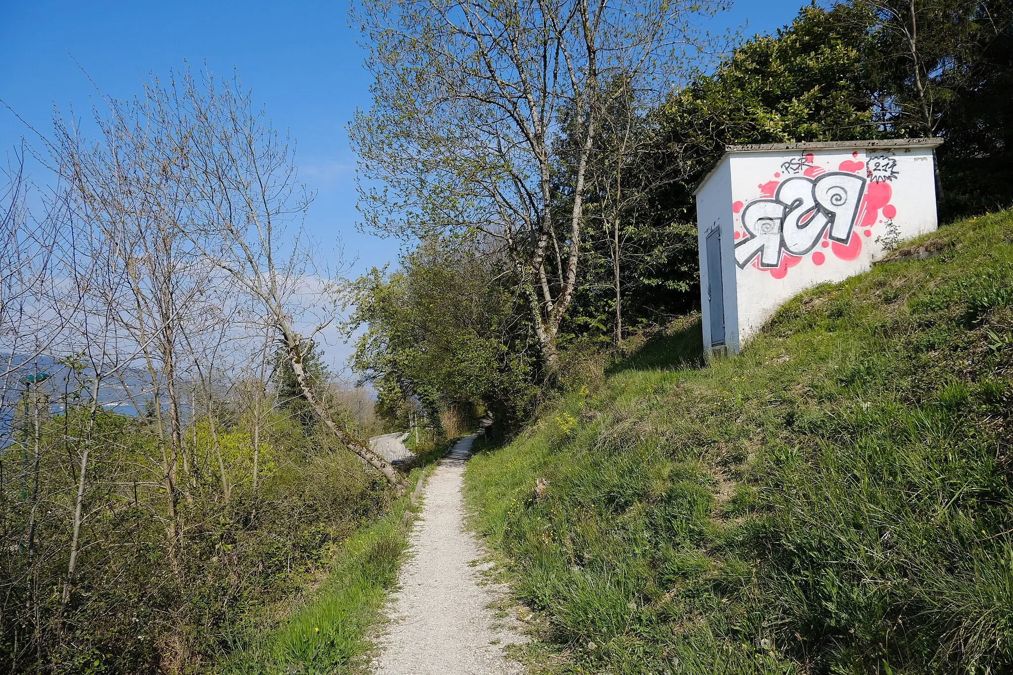 Photo showing: Chemin du Bois du séminaire @ Veyrier-du-Lac