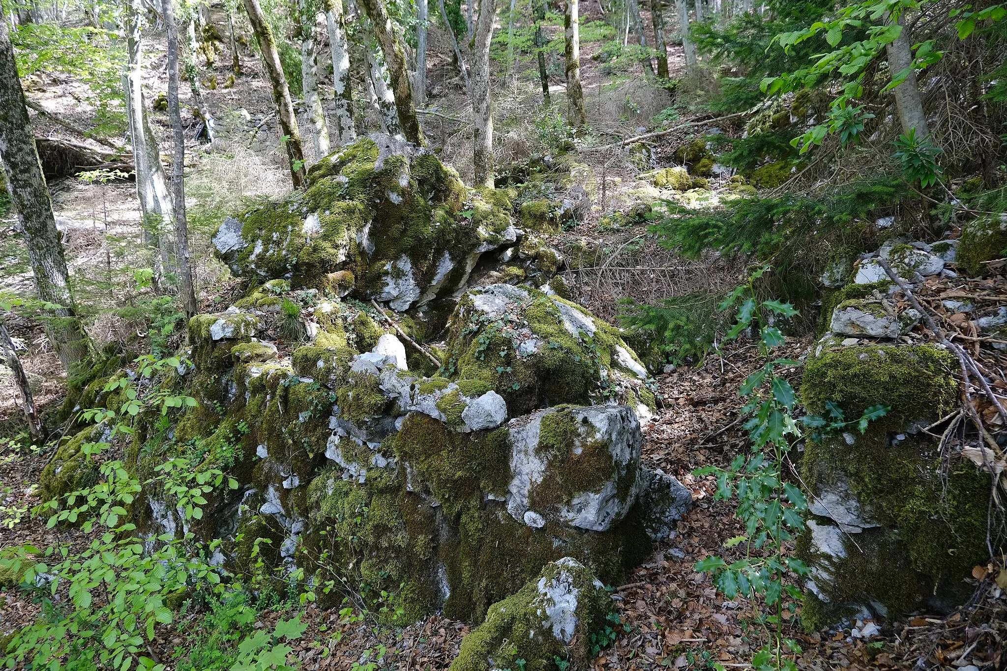 Photo showing: Ruines de chalet @ Bois de Beauregard