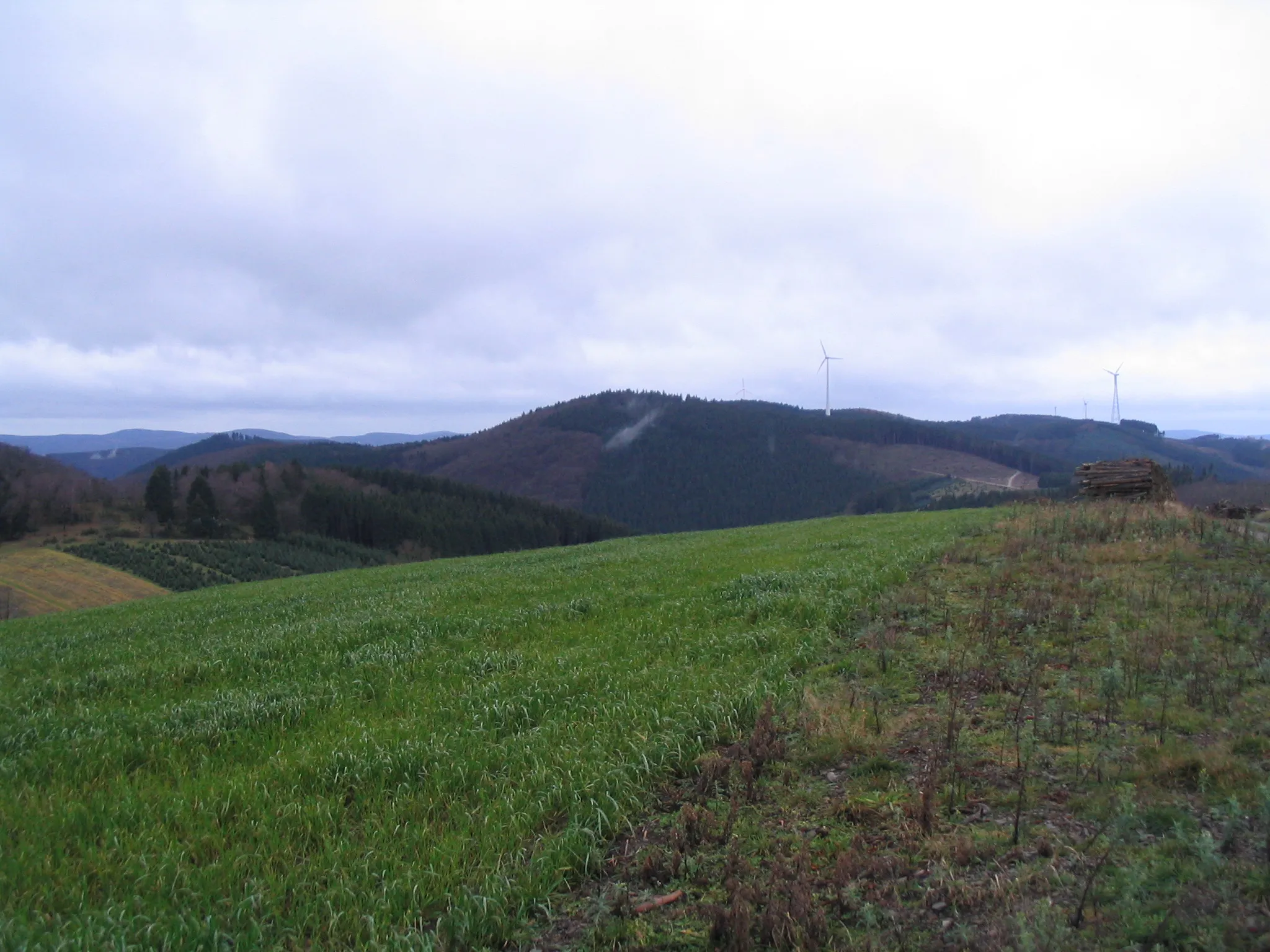 Photo showing: Der Jürgensberg (619 m) in den Saalhauser Bergen im Sauerland von Nordosten.