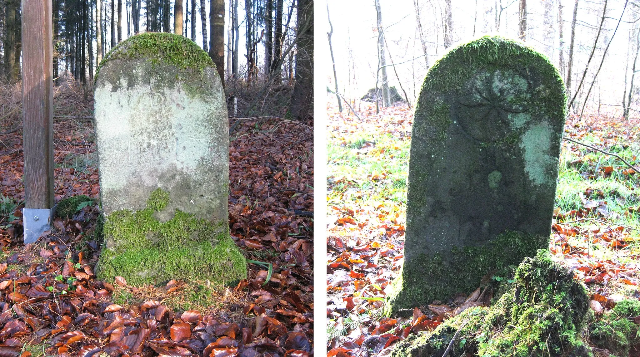 Photo showing: Grenzstein bei Naumburg (Kr. Kassel)