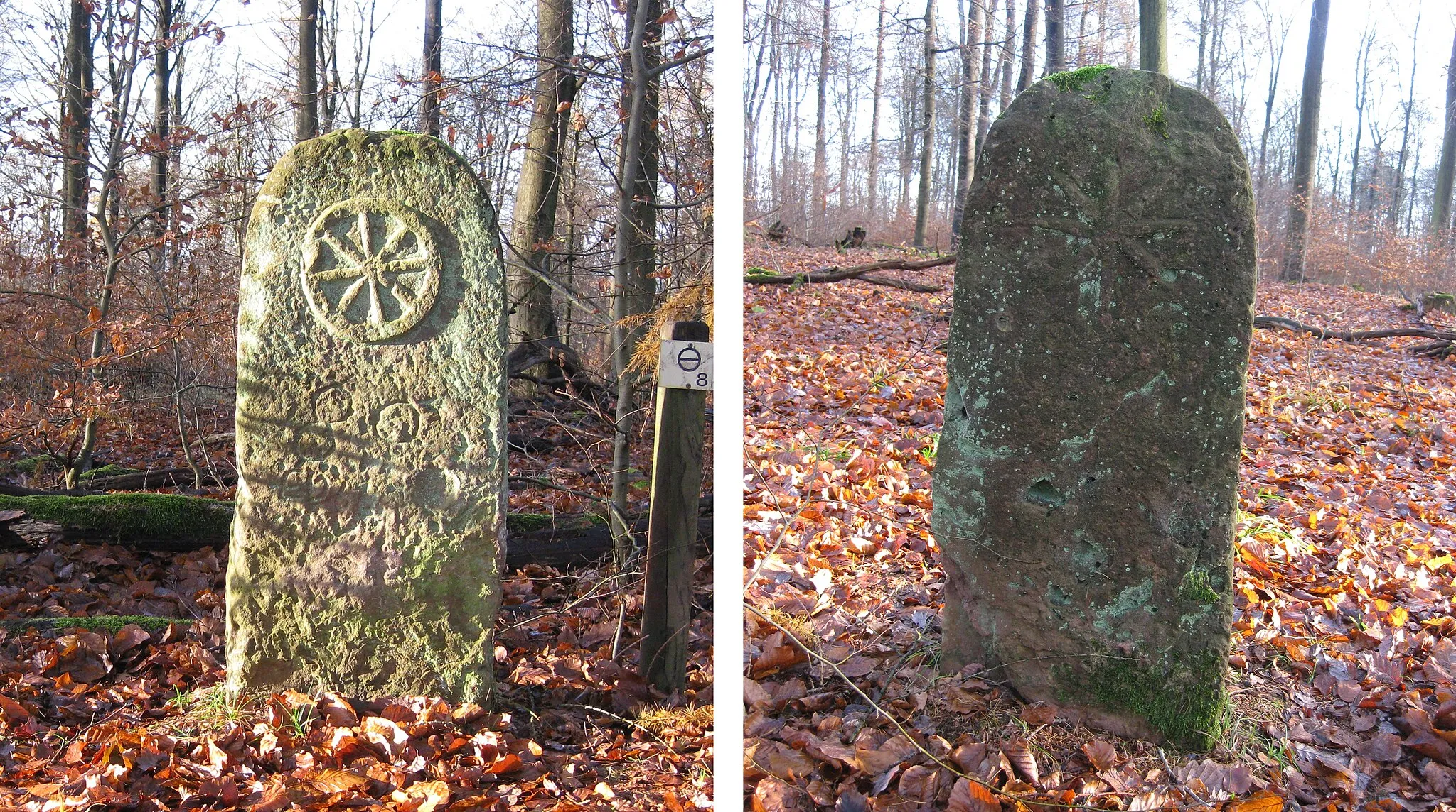 Photo showing: Grenzstein bei Naumburg (Kr. Kassel)