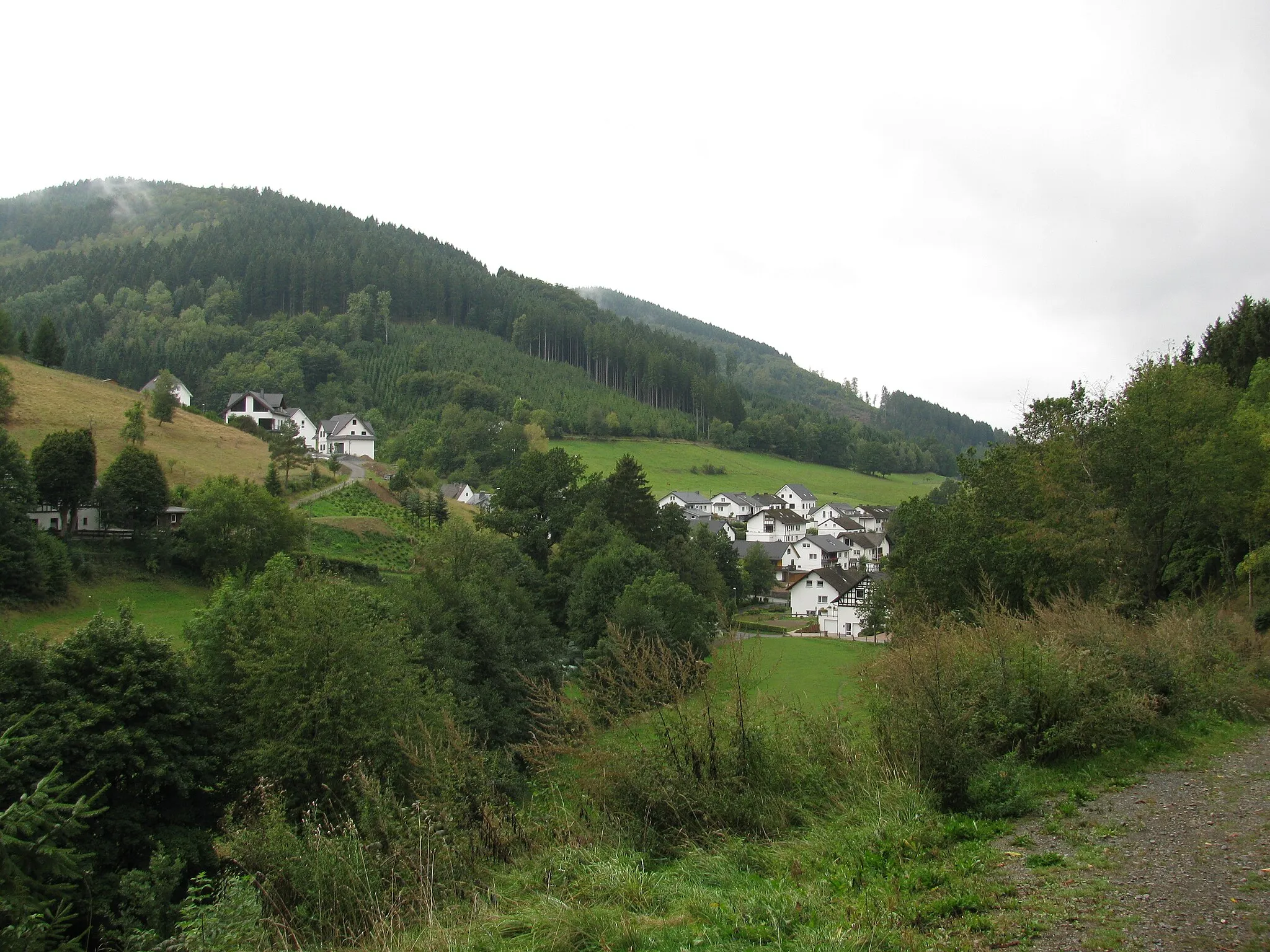 Photo showing: Blick vom nördlichen Talrand der Uentrop nach Südwesten auf den Kähling und das Landschaftsschutzgebiet „Schmallenberg Süd-Ost“