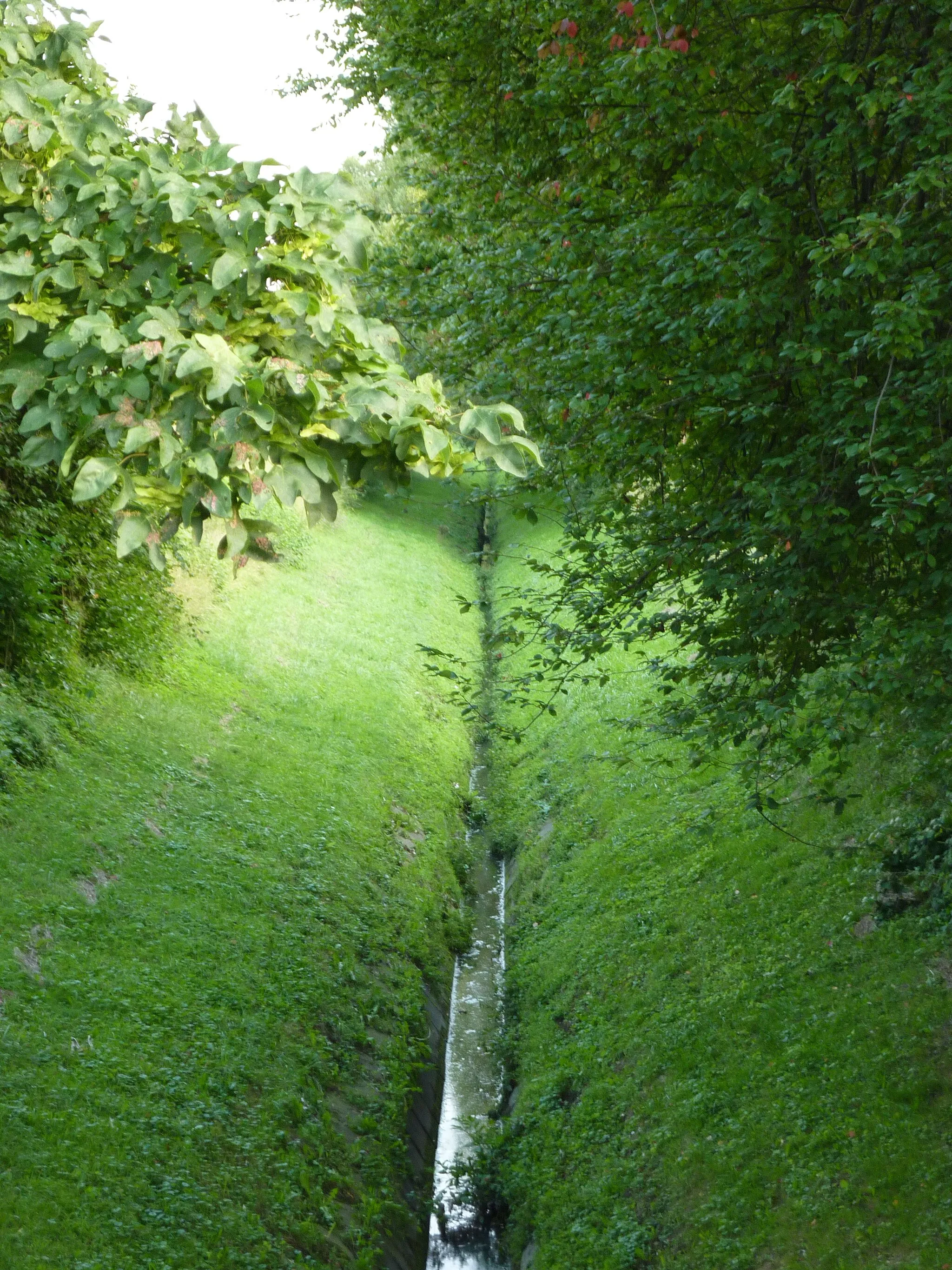 Photo showing: Blick auf den Heimbach (Zufluss des Körnebachs) in Dortmund-Wickede, Blick nach Süden in Richtung Wickede