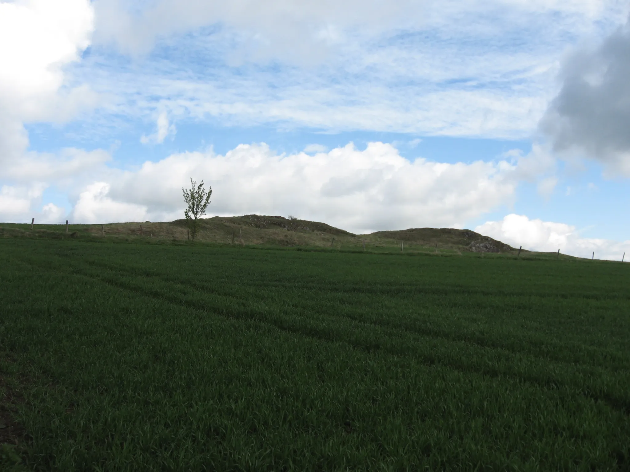 Photo showing: Naturschutzgebiet Warenberg (Bergkuppe) aus Süden.