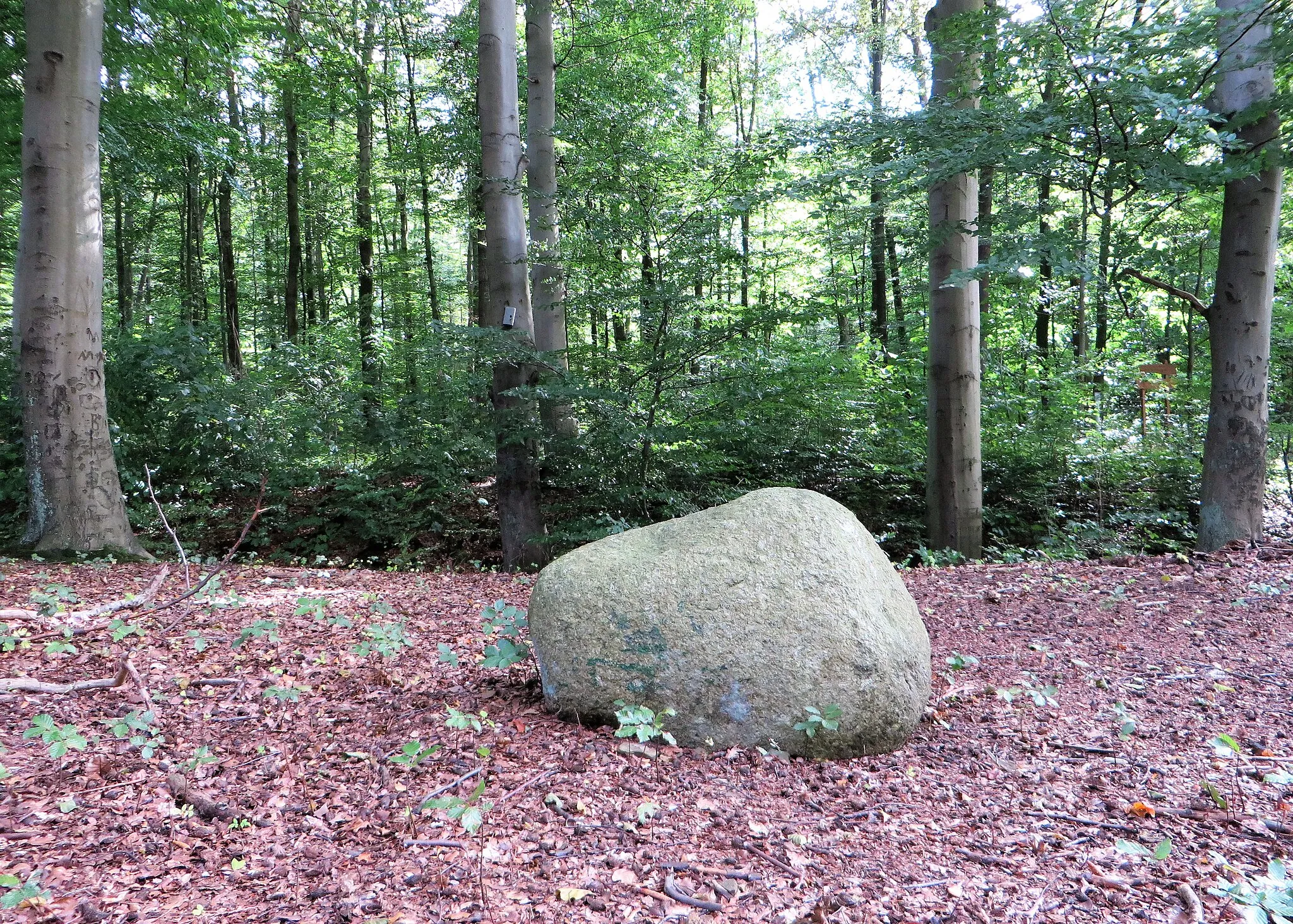 Photo showing: Naturdenkmal 1.3.2.2.5 „Findling Vorhalle“ in Hagen-Vorhalle, Am Tempel/Im Stell. Es handelt sich um einen im Hagener Raum sehr seltenen Findling aus grauem Revsundgranit (Nordschweden) am Hülsbergbach westlich von Vorhalle. Der abgebildete Bereich liegt im Landschaftsschutzgebiet „Hülsbergbach“.