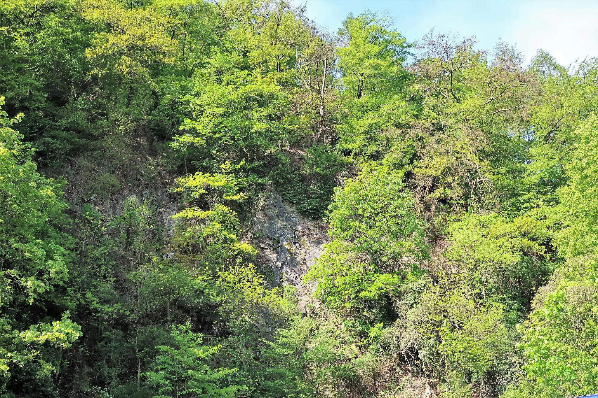 Photo showing: Naturschutzgebiet Raffenberg (NSG HA-018) in Hagen-Hohenlimburg. Kalkfelsenhang östlich abfallend zur Hohenlimburger Straße (B 7).