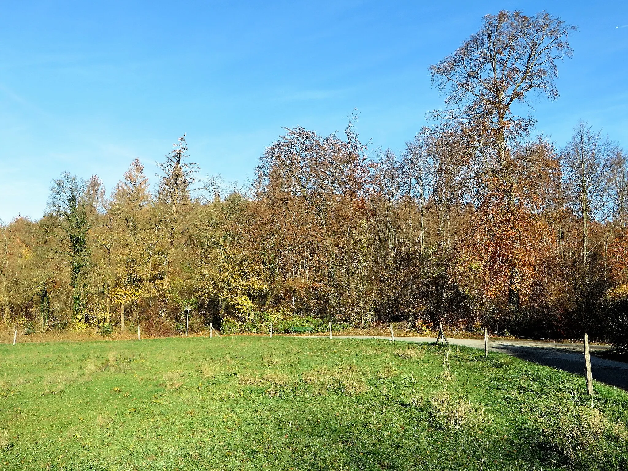Photo showing: Naturschutzgebiet Raffenberg in Hagen-Hohenlimburg. Blick vom Piepenbrink/Märchenwald auf den Zugangsbereich zum Schutzgebiet und der Ruine Raffenburg.