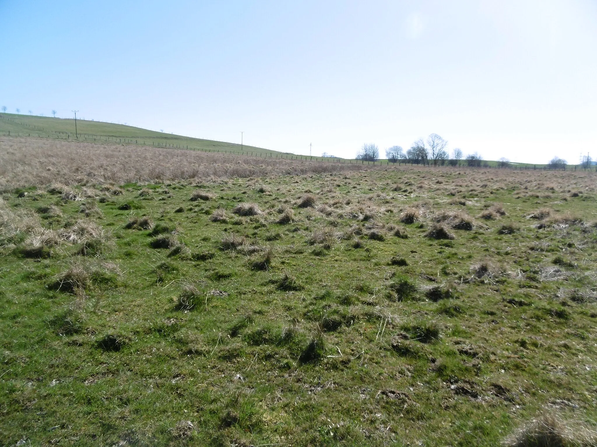 Photo showing: Blick von Teichen am Prinzknapp nach Süden ins Landschaftsschutzgebiet Fauler Bruch / Hemmeker Bruch.