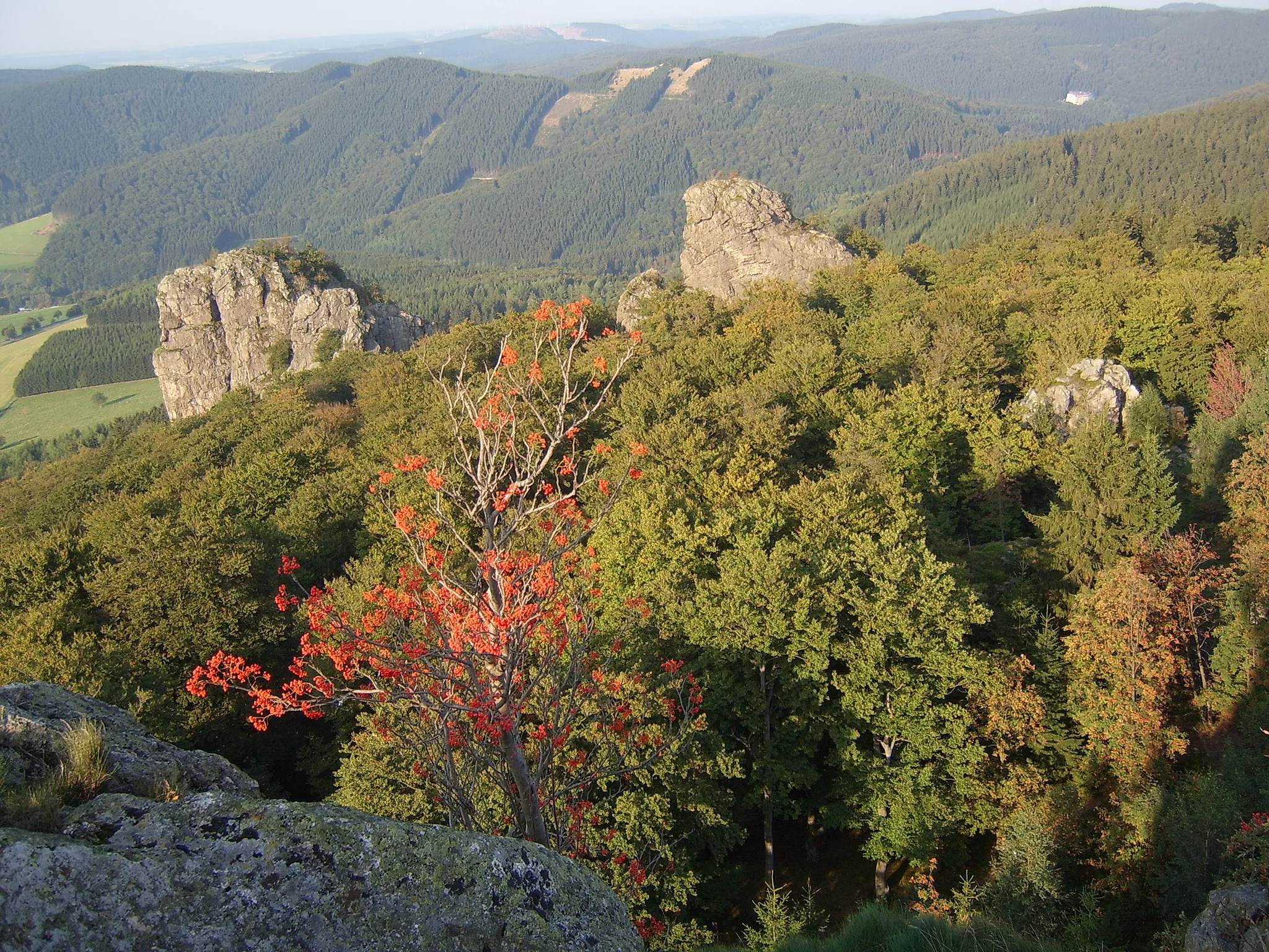 Photo showing: Bruchhauser Steine - Blick vom Feldstein auf Goldstein (rechts) und Bornstein