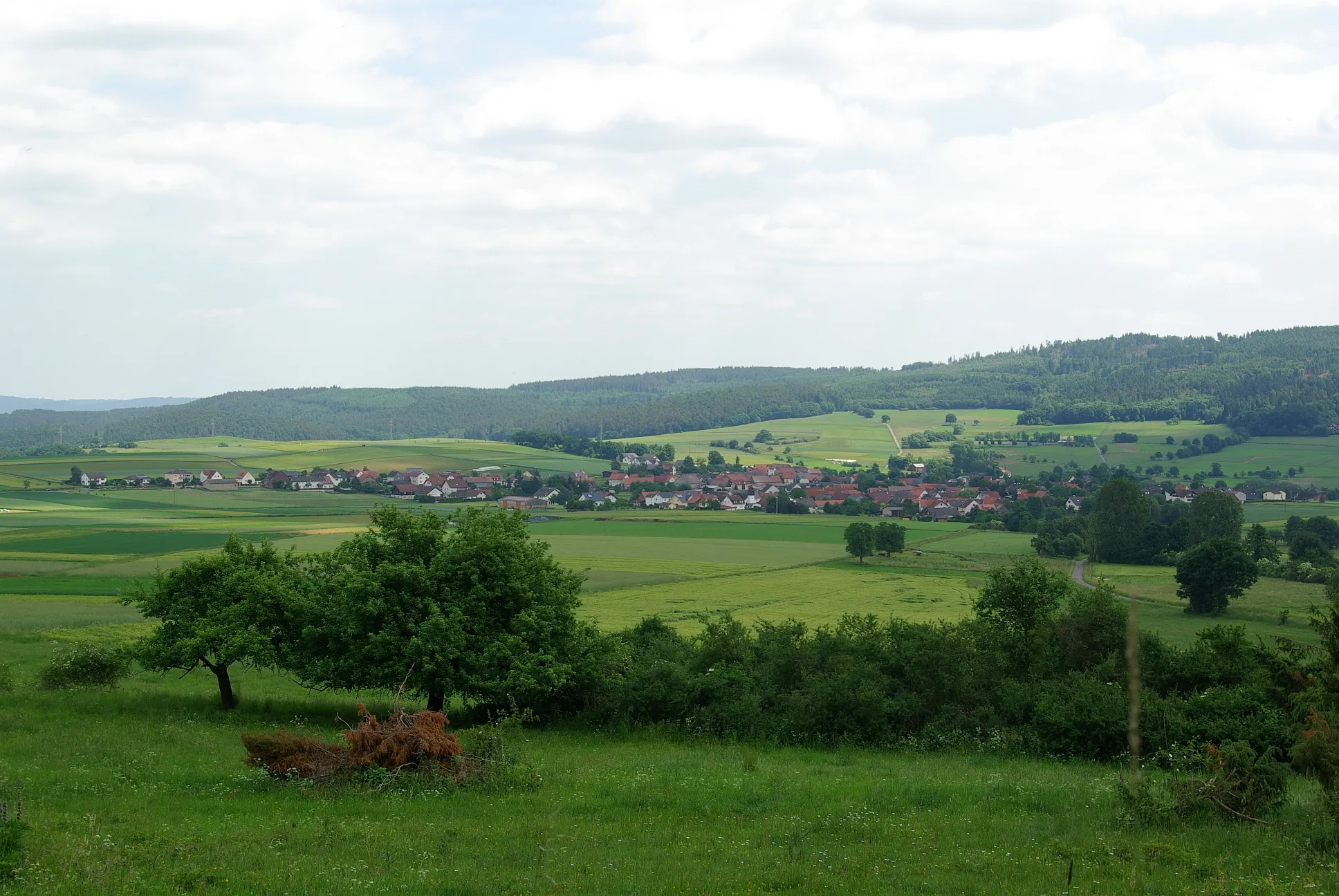 Photo showing: View over Warzenbach