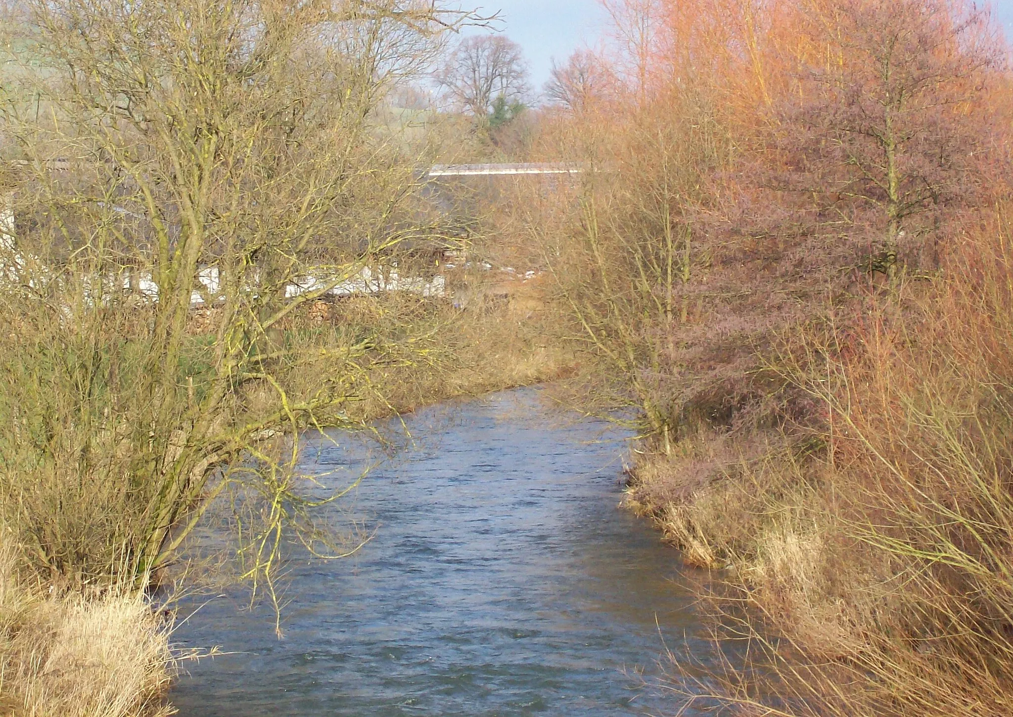 Photo showing: Wenne (Fluss) in Meschede-Berge, 2008