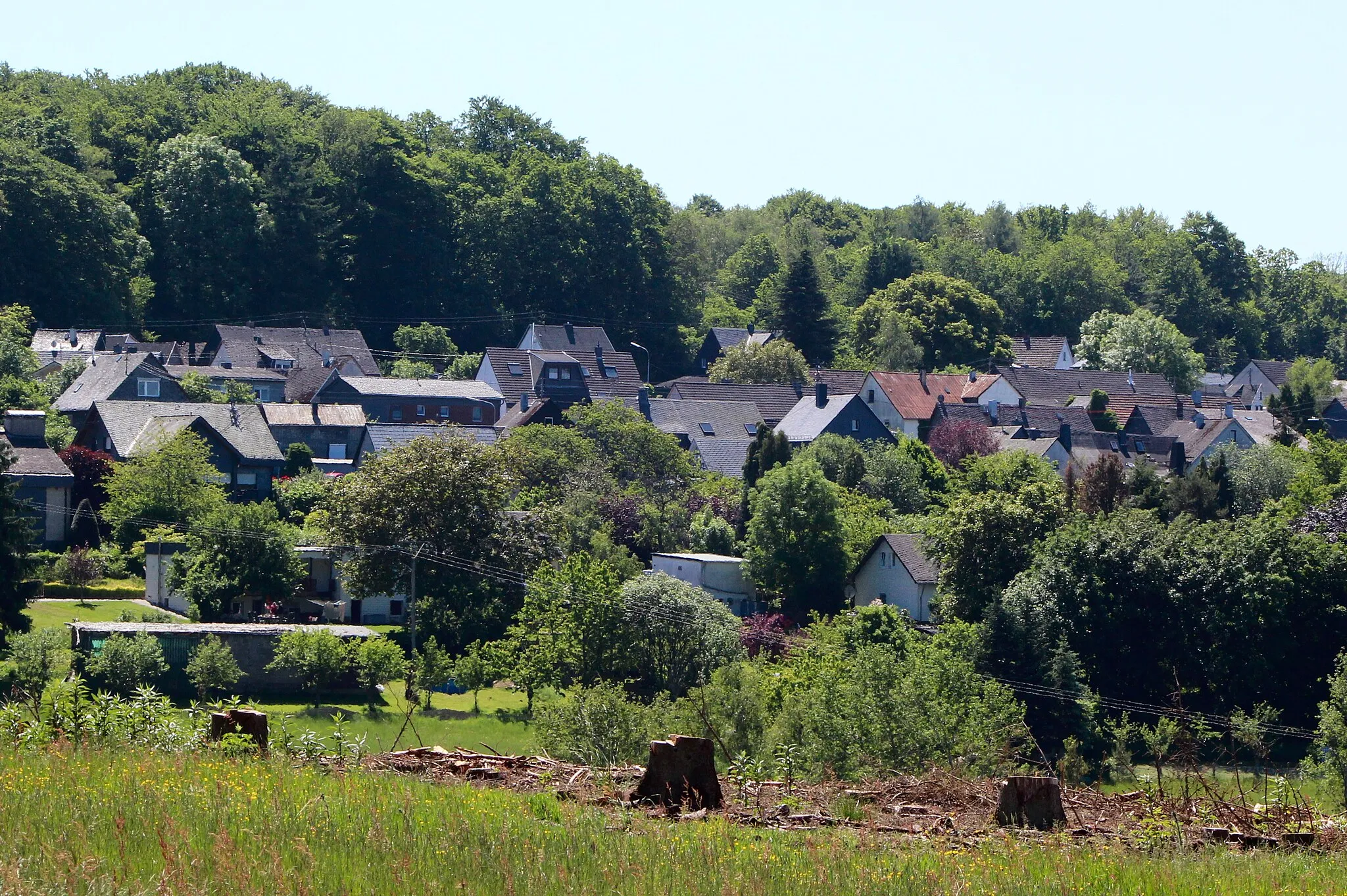 Photo showing: Bölsberg, Westerwald, Rheinland-Pfalz