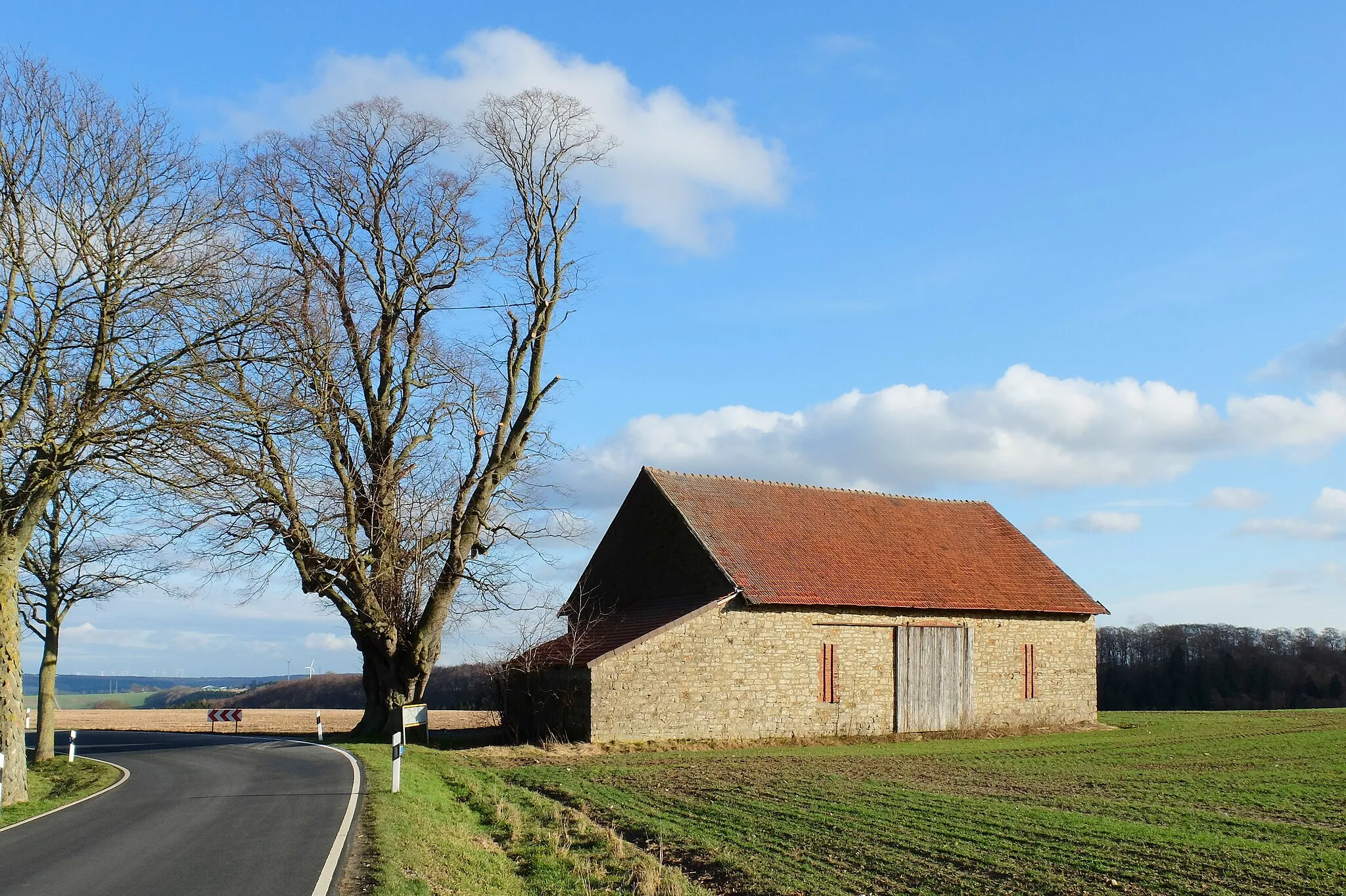 Photo showing: Hagellinde - Sommerlinde in Büren-Siddinghausen (NRW)
ID: 02 2.3.7
51.509490, 8.516622

Stammumfang in cm: 665