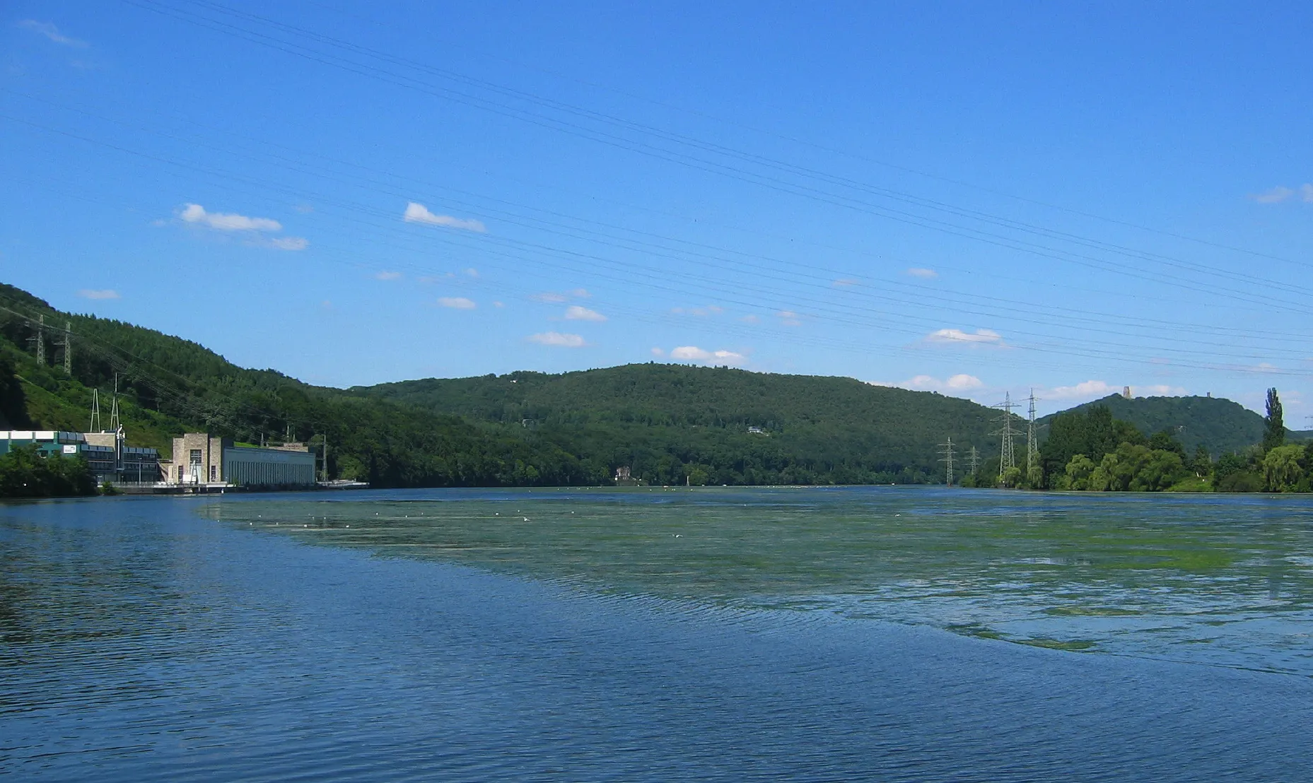 Photo showing: Masses of Elodea canadensis and Elodea nuttallii, Hengsteysee, North Rhine-Westphalia, Germany.