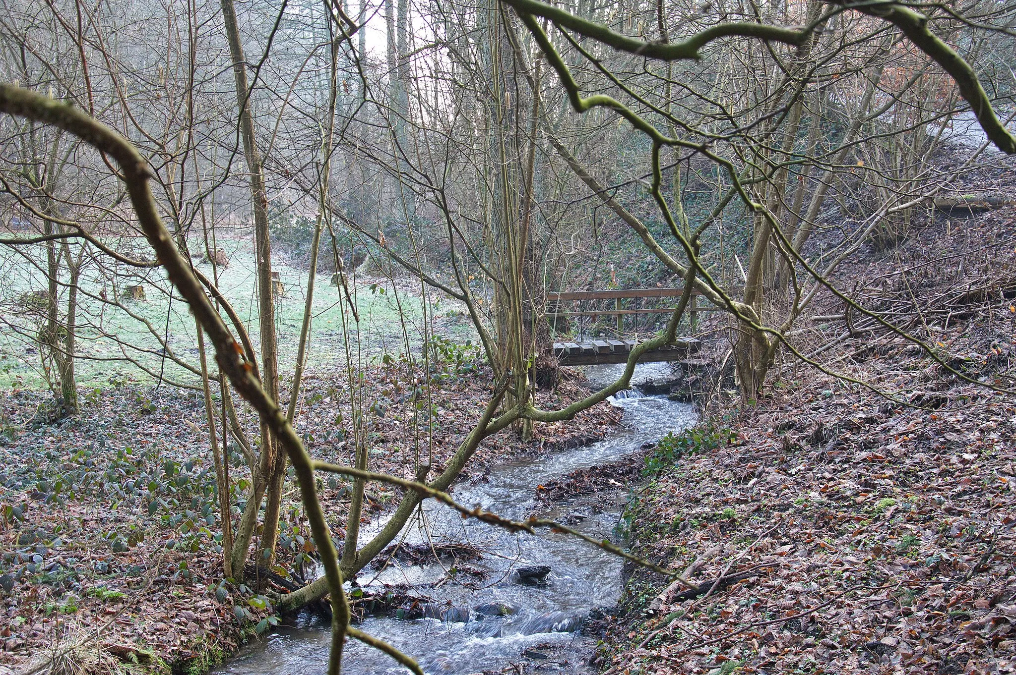 Photo showing: Gederbachaue im Landschaftsschutzgebiet „Wartenberg/Arenberg/­Kalmerskopf/­Im Schuppling“ in Witten