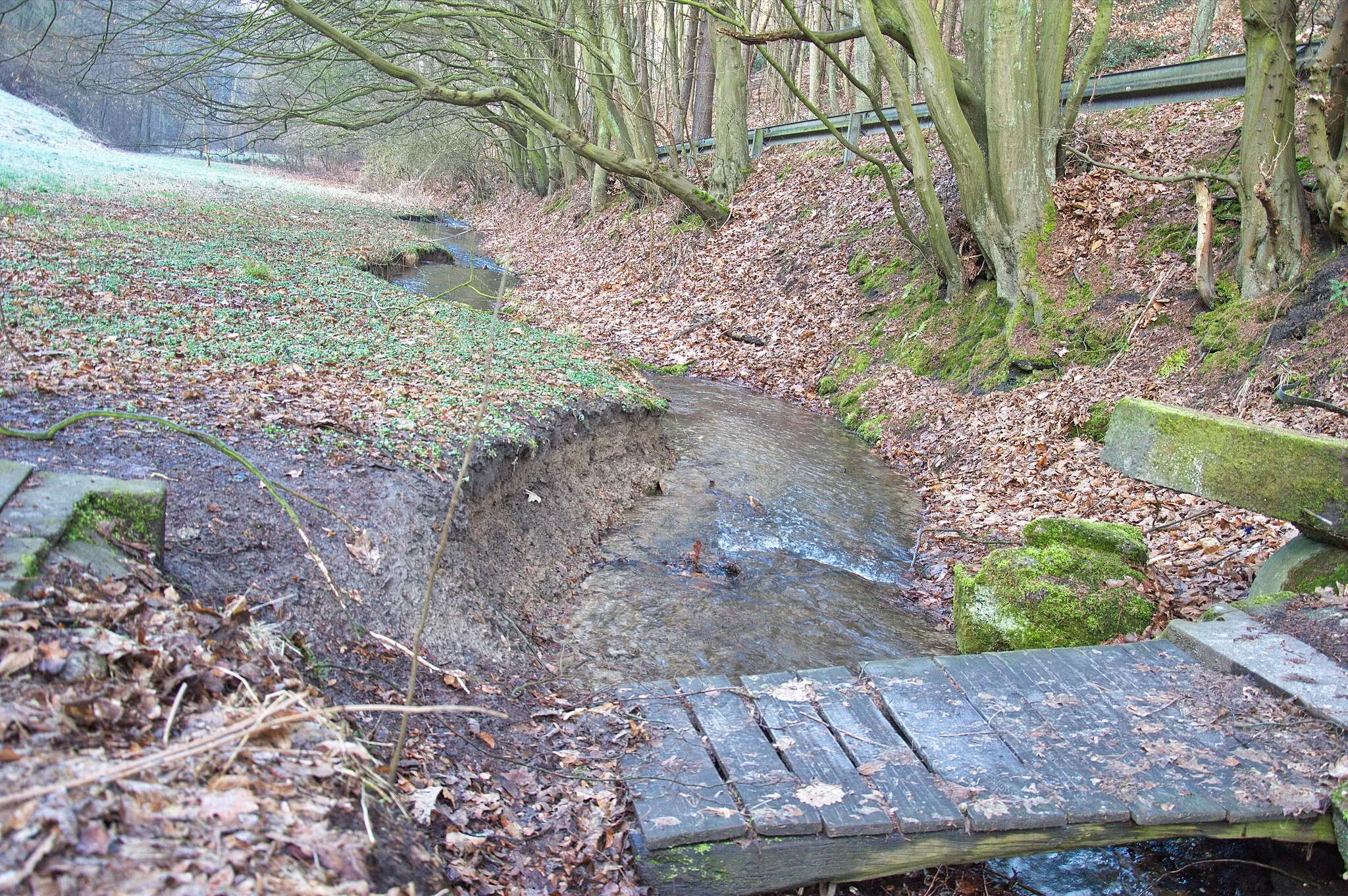 Photo showing: Gederbachaue im Landschaftsschutzgebiet „Wartenberg/Arenberg/­Kalmerskopf/­Im Schuppling“ in Witten