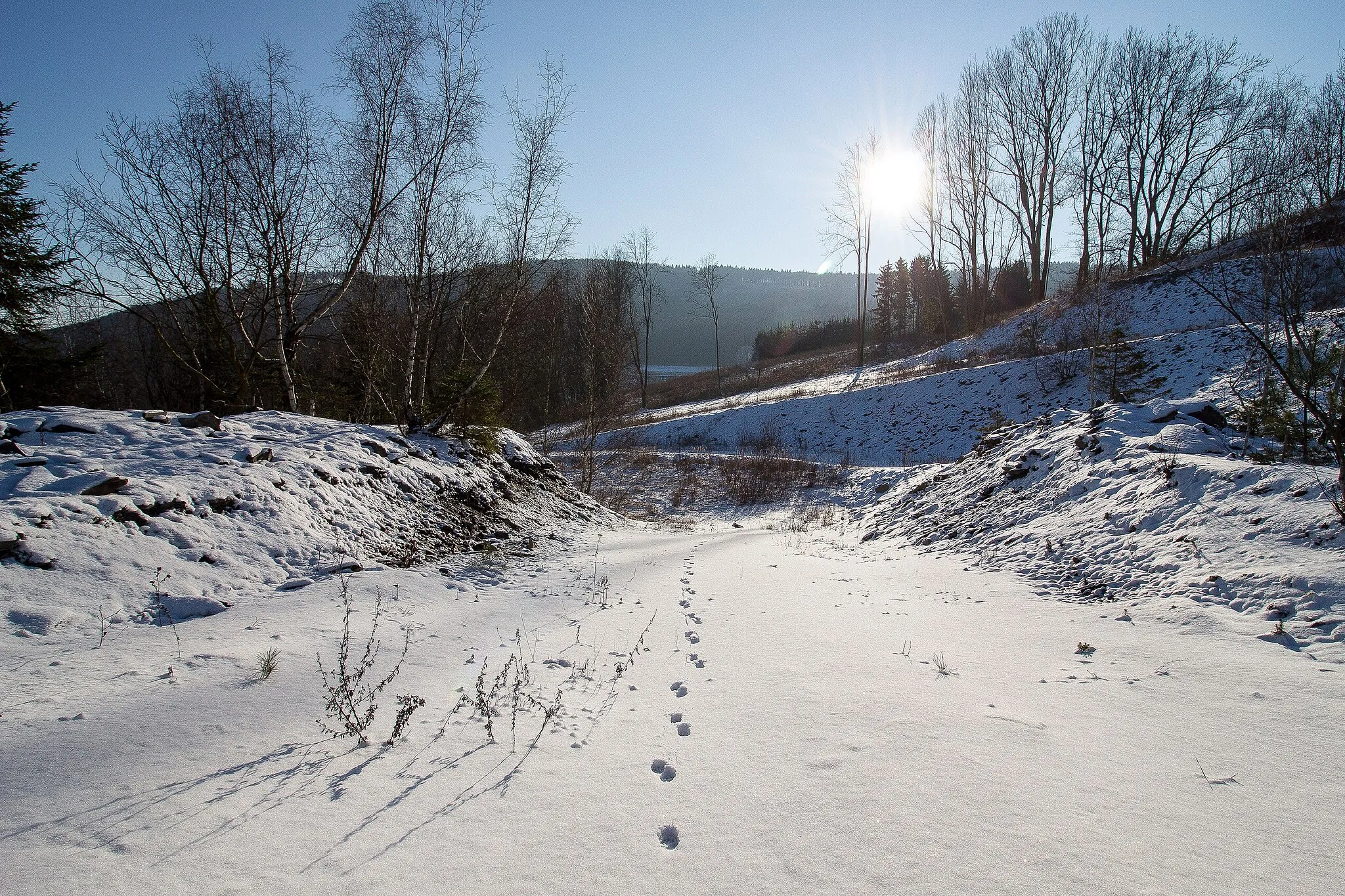 Photo showing: Winter time in the Sauerland