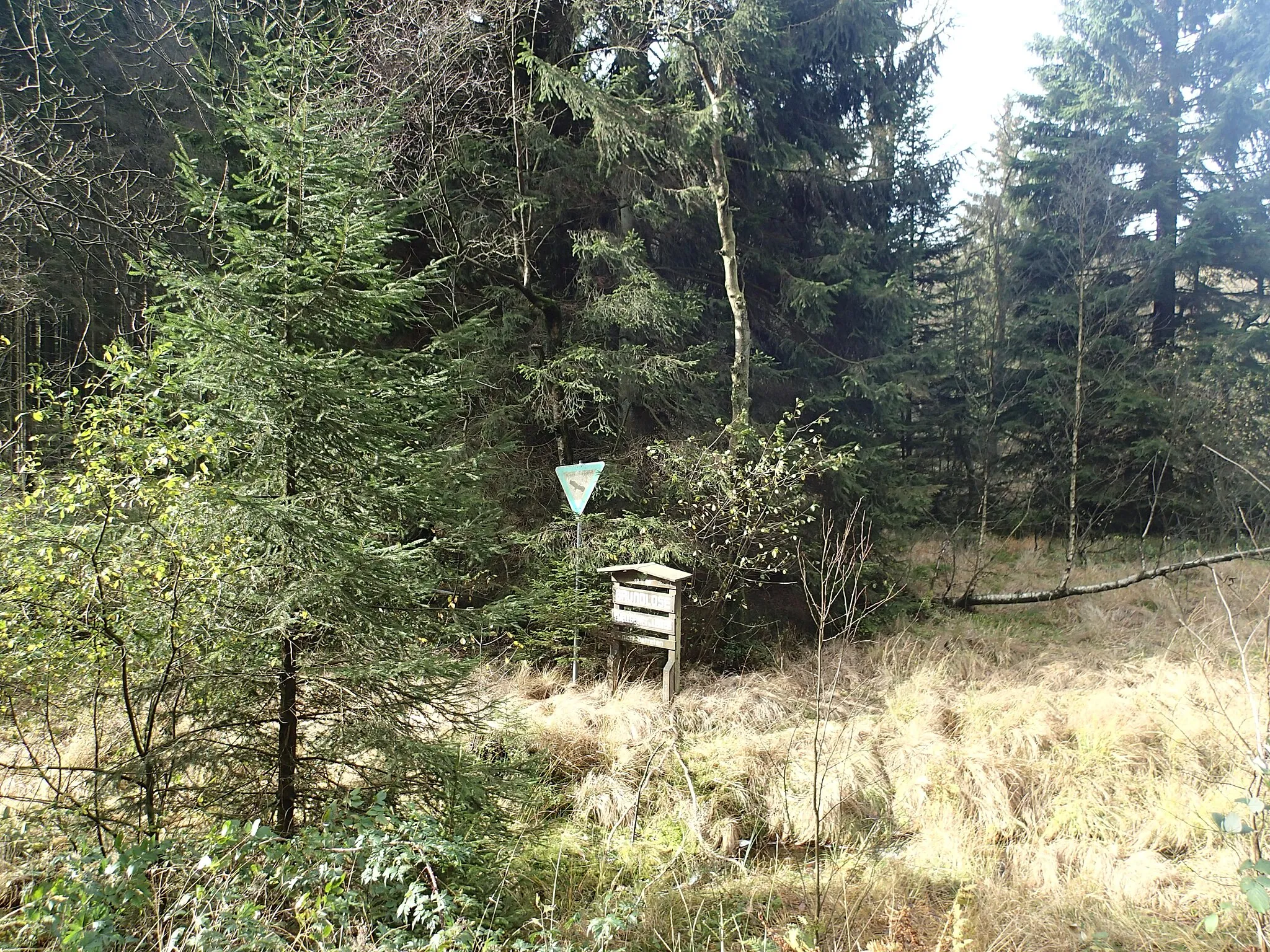 Photo showing: Lister (Fluss), Quellgebiet im Naturschutzgebiet „Auf’m Ebbe“ in Meinerzhagen. Schrift auf dem Schild: Grundlose / Quellgebiet d. Lister / nicht betreten