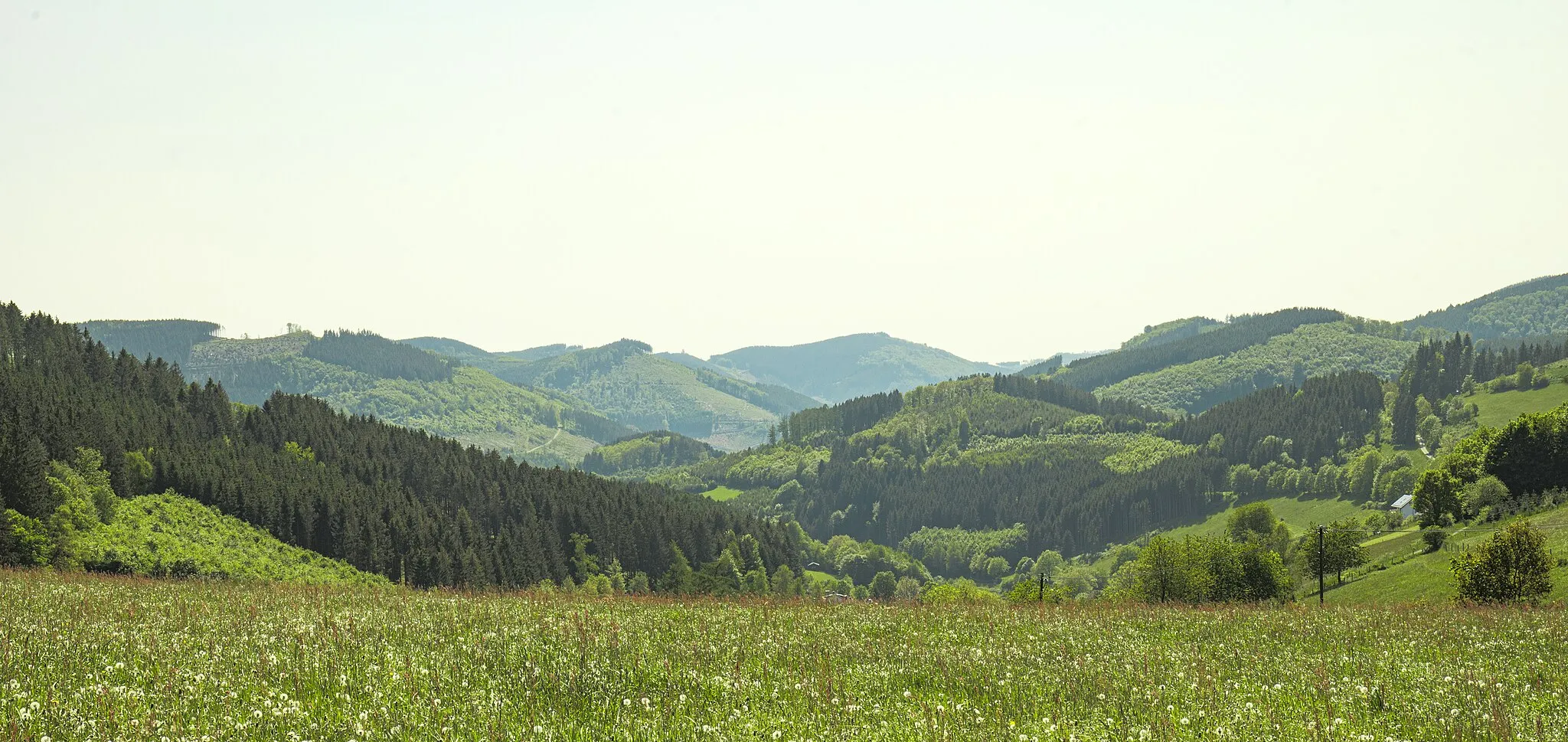 Photo showing: Blick vom Beerenberg in Richtung Saalhausener Berge im Sauerland