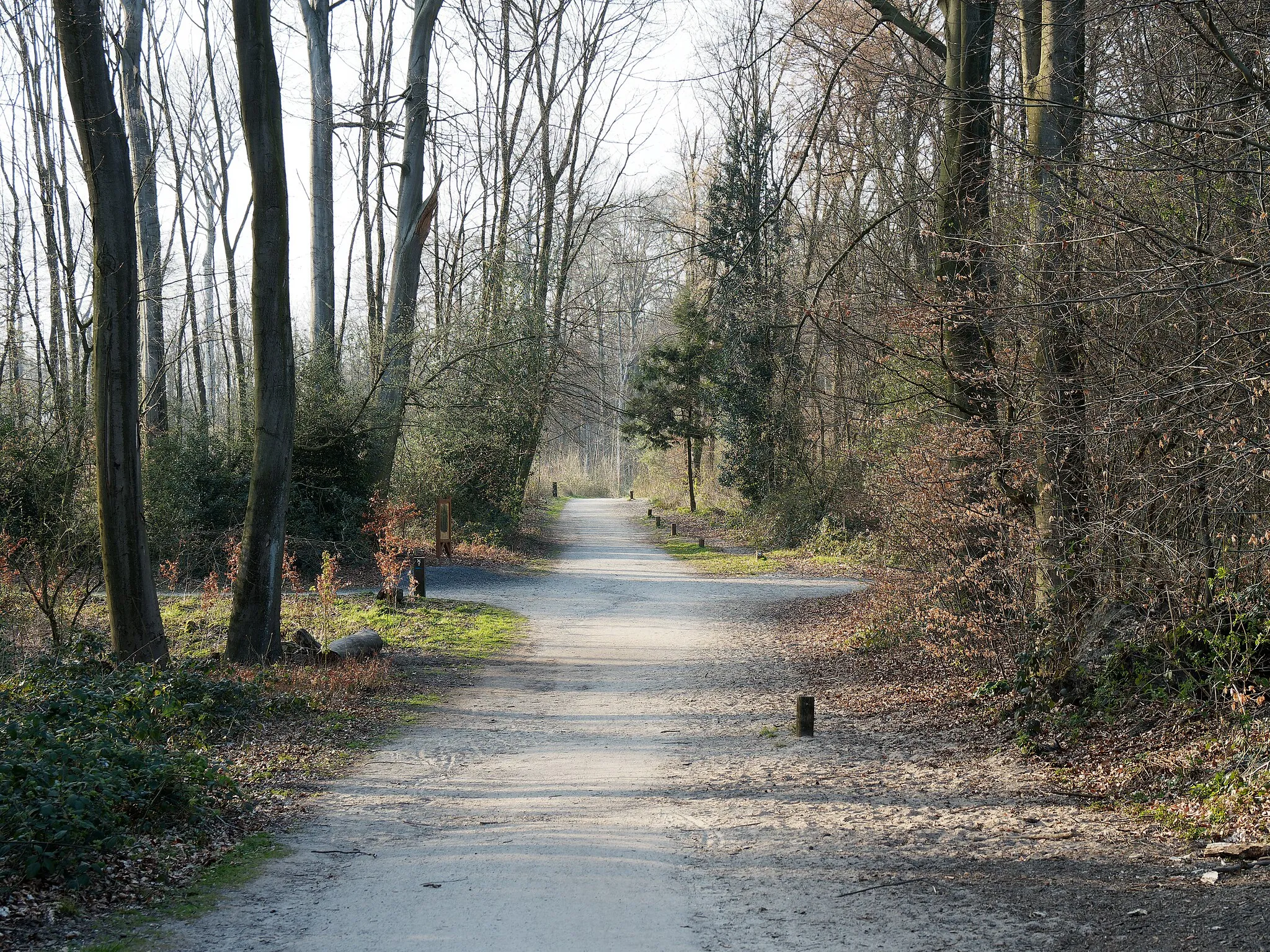 Photo showing: Der Hauptweg (Nord-West/Süd-Ost) im Gysenberg, Blickrichtung NW.