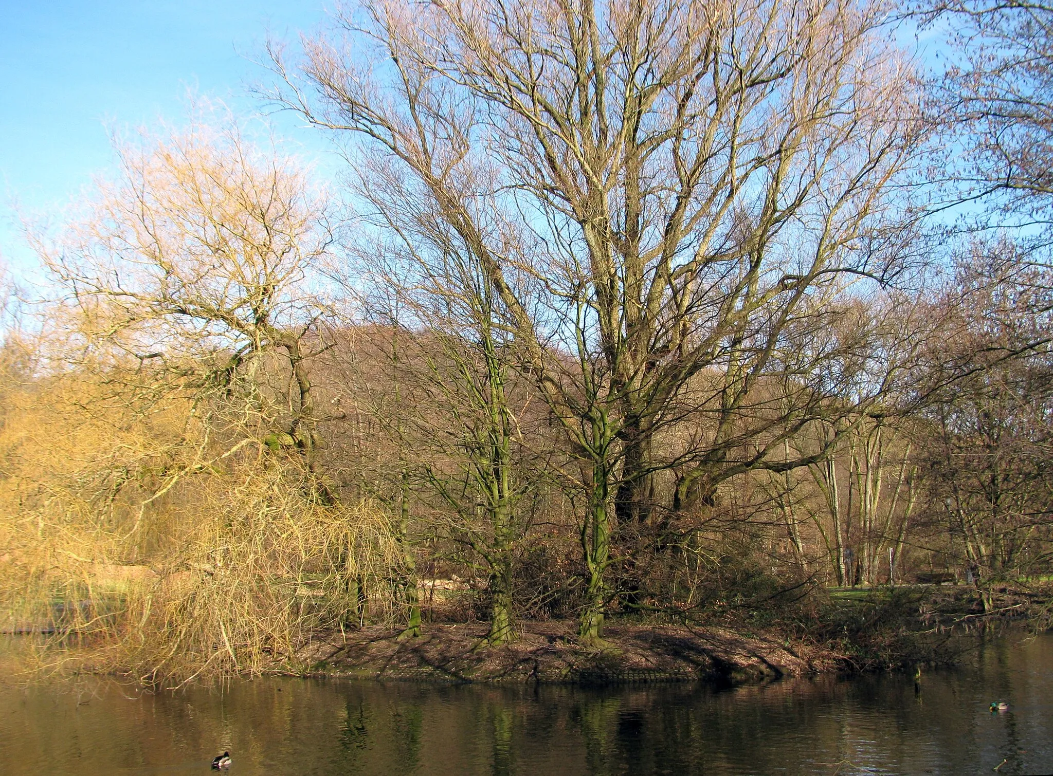 Photo showing: Kaiseraueteich in Bochum