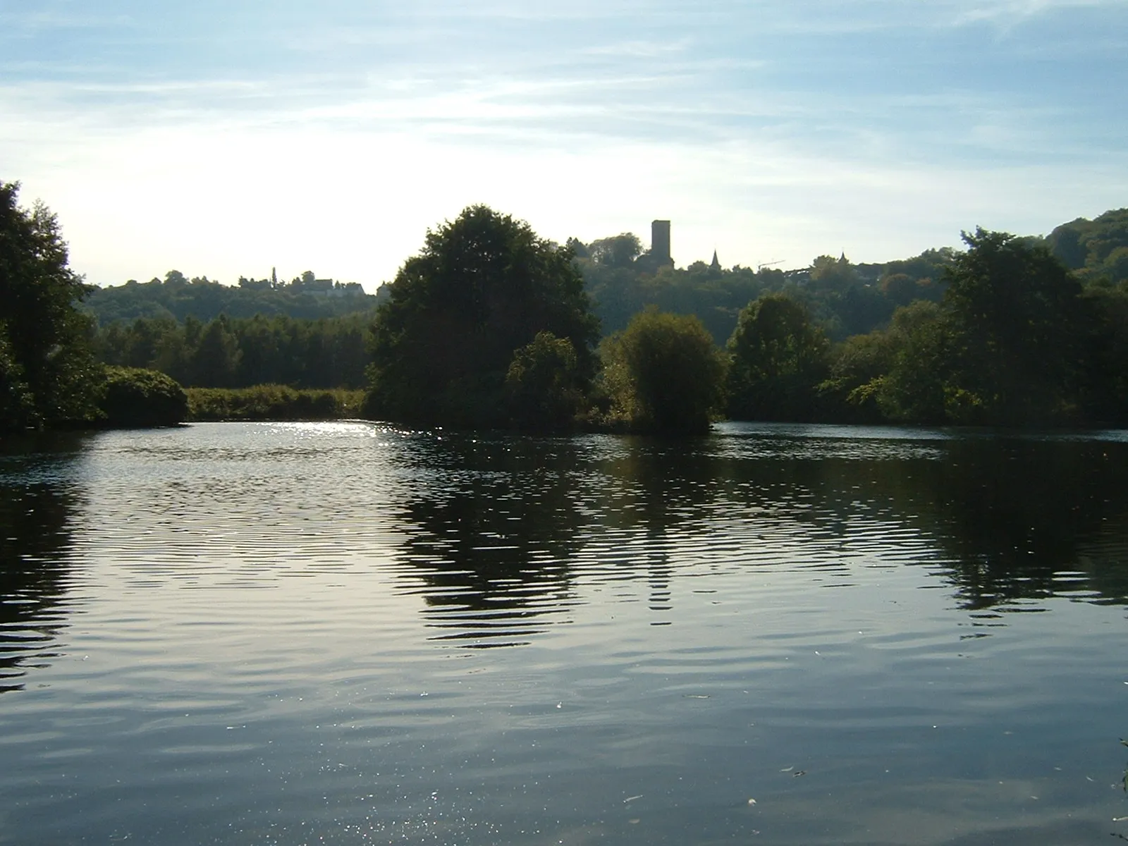 Photo showing: Blick vom Bochum-Stiepeler Ruhrufer übers NSG Alte Ruhr-Katzenstein auf Burg Blankenstein