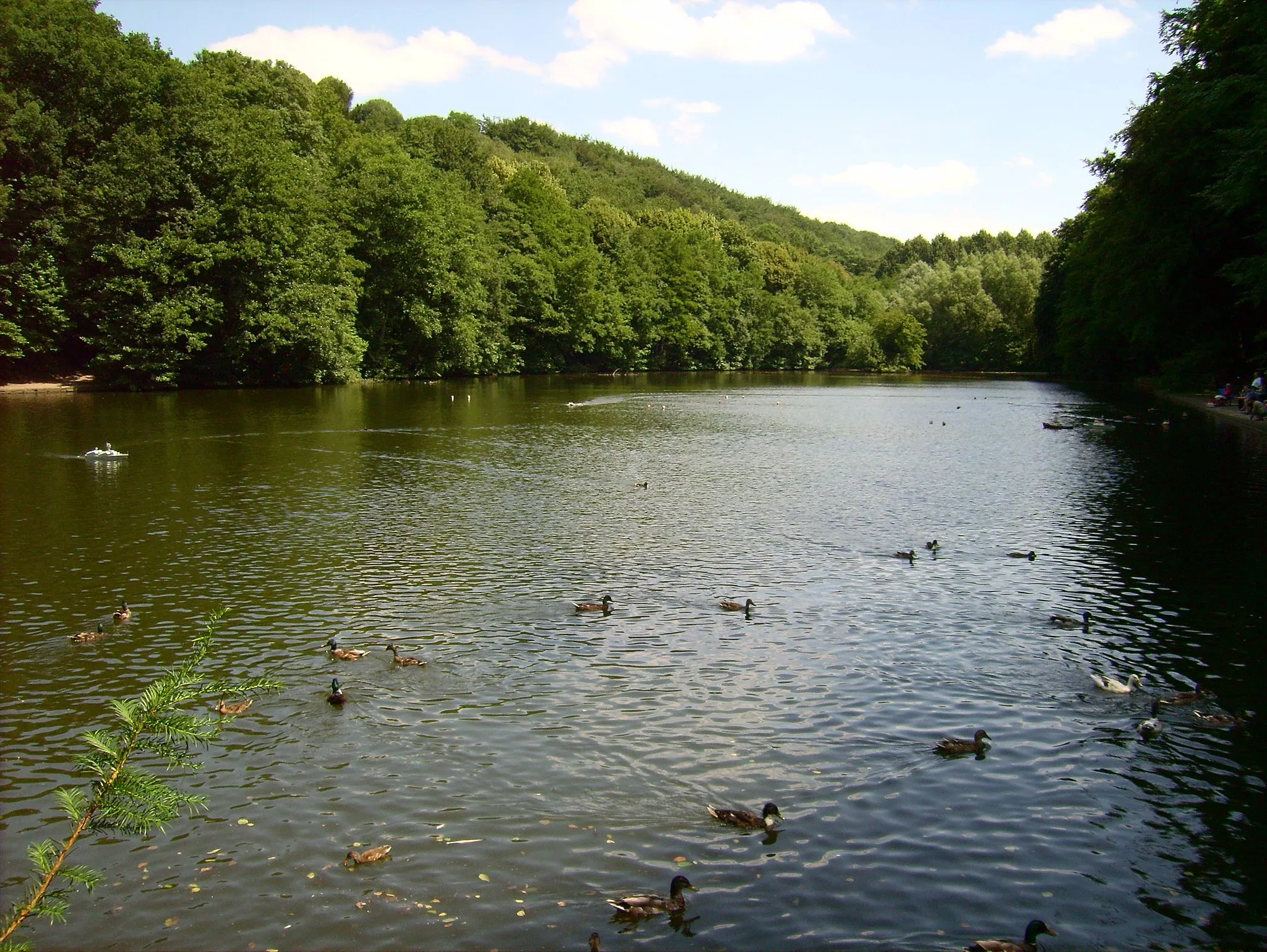 Photo showing: Der Hammerteich im Naherholungsgebiet Hohenstein, Witten