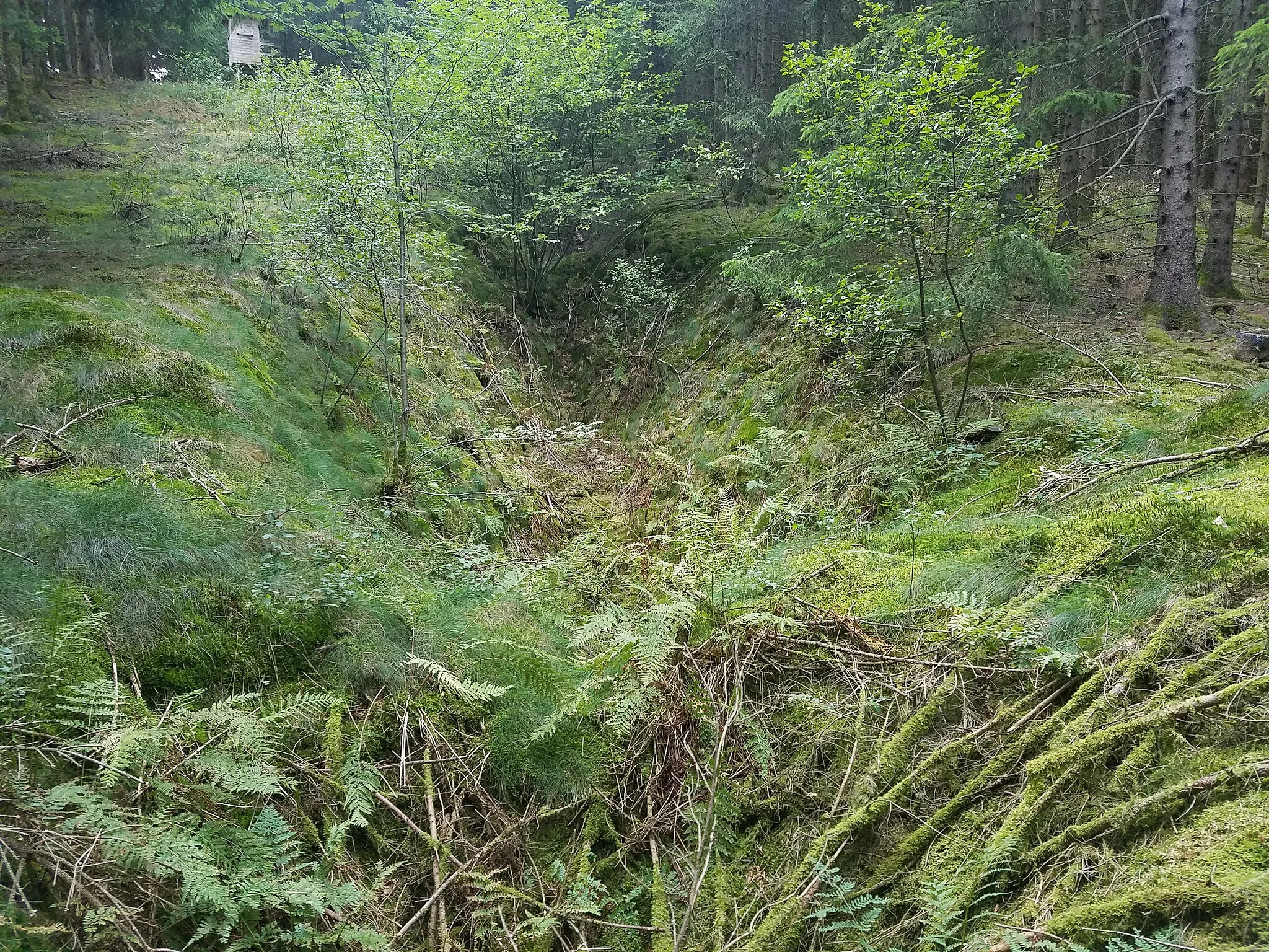 Photo showing: Stolleneinschnitt des oberen Stollens der Grube Josefssegen bei Wilnsdorf-Anzhausen/NRW