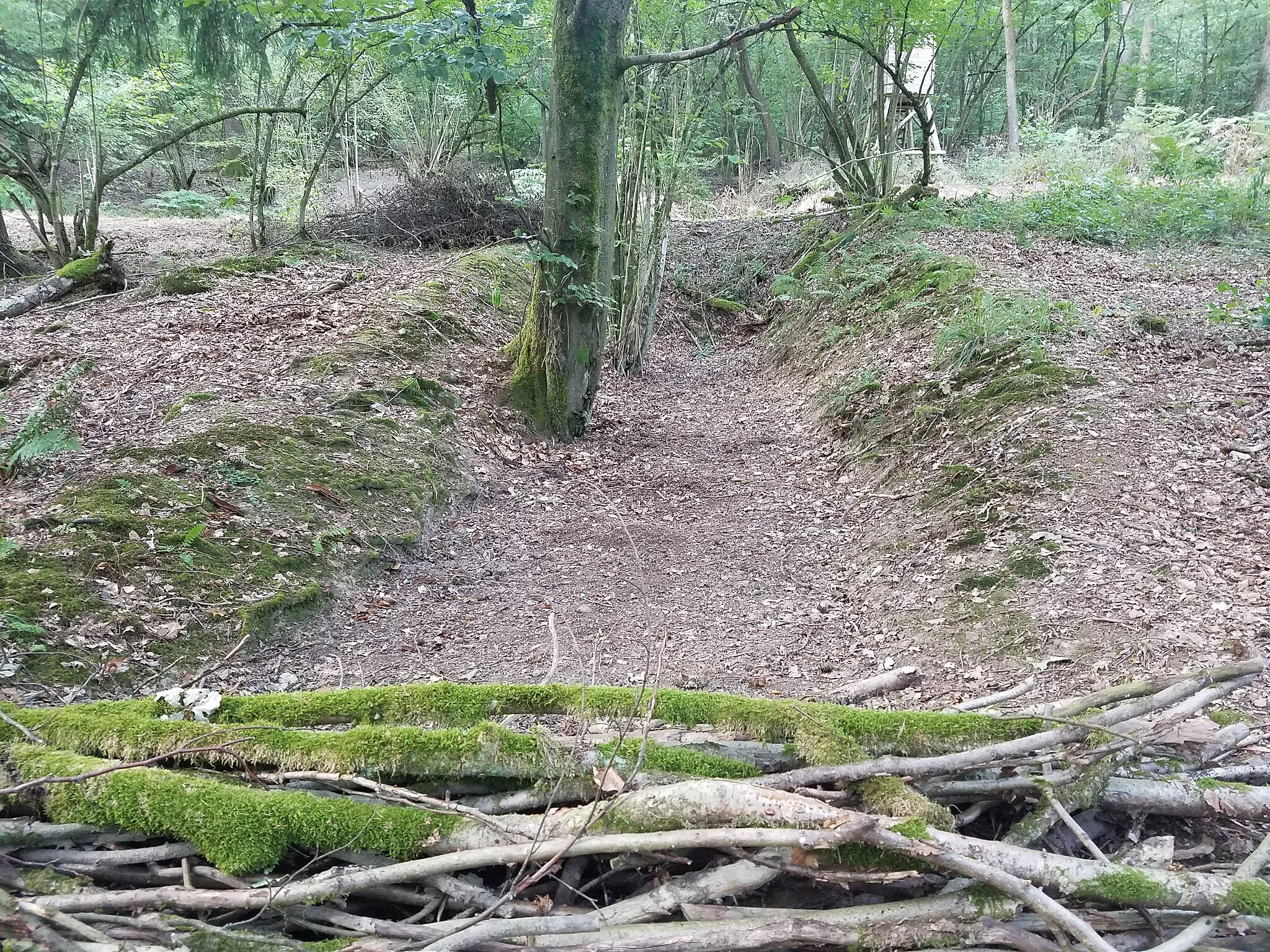 Photo showing: Stolleneinschnitt des mittleren Stollens der Grube Josefssegen bei Wilnsdorf-Anzhausen/NRW