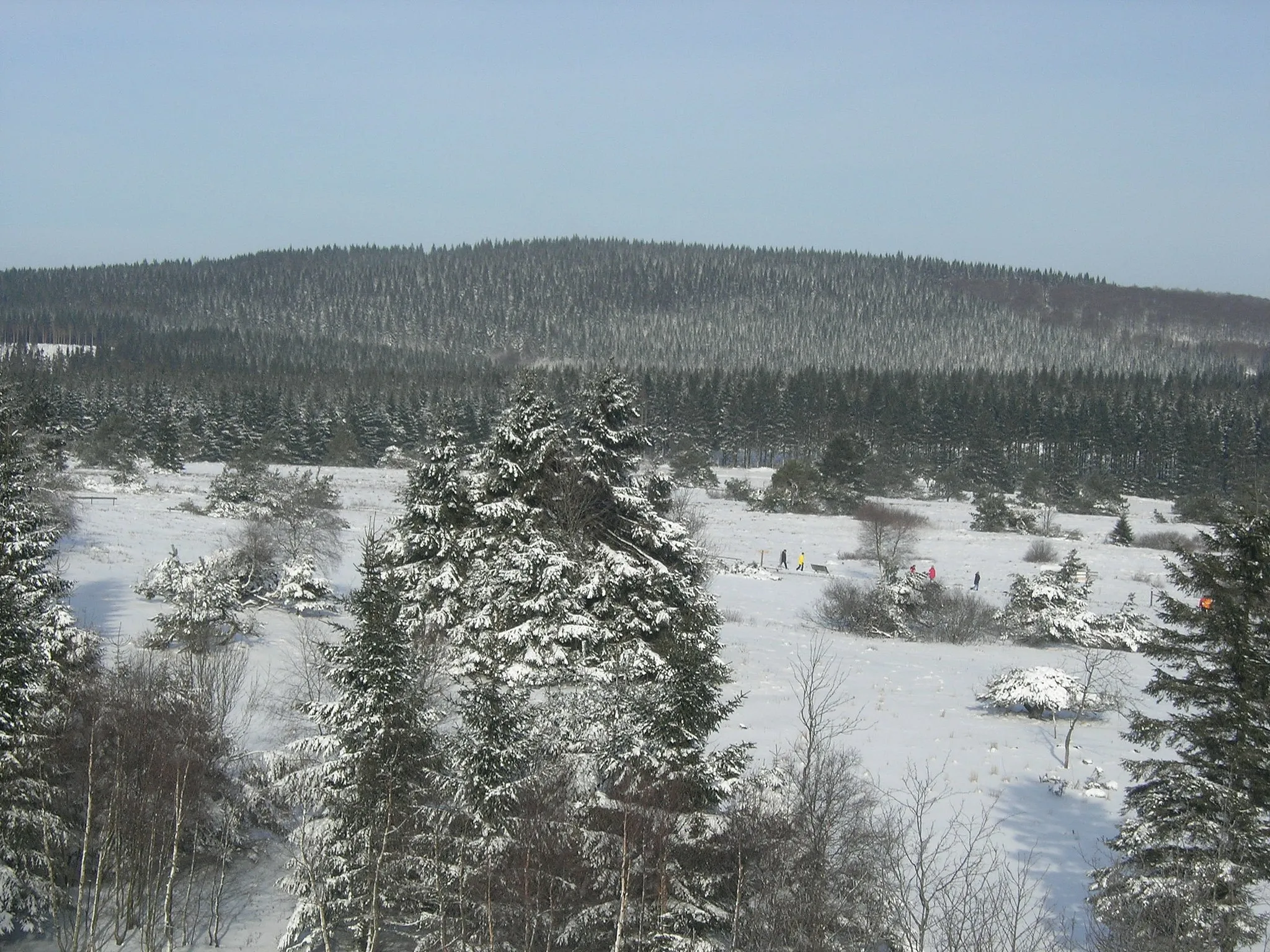 Photo showing: Blick auf den Langenberg im Winter vom Clemensberg. Im Bildvordergrund befindet sich das Naturschutzgebiet Neuer Hagen.