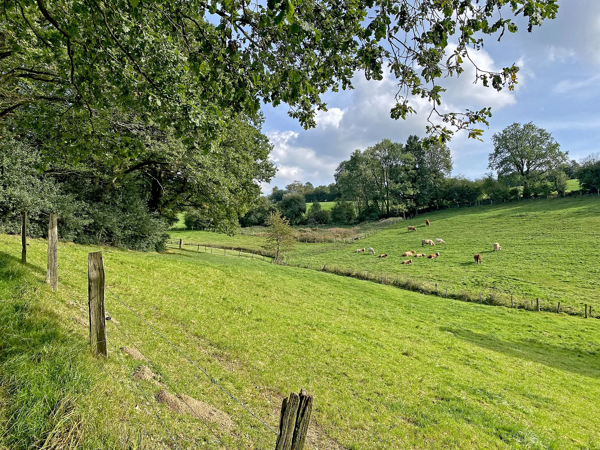 Photo showing: Önkfelder Bachtal im Naturschutzgebiet Uelfetal mit Nebentälern