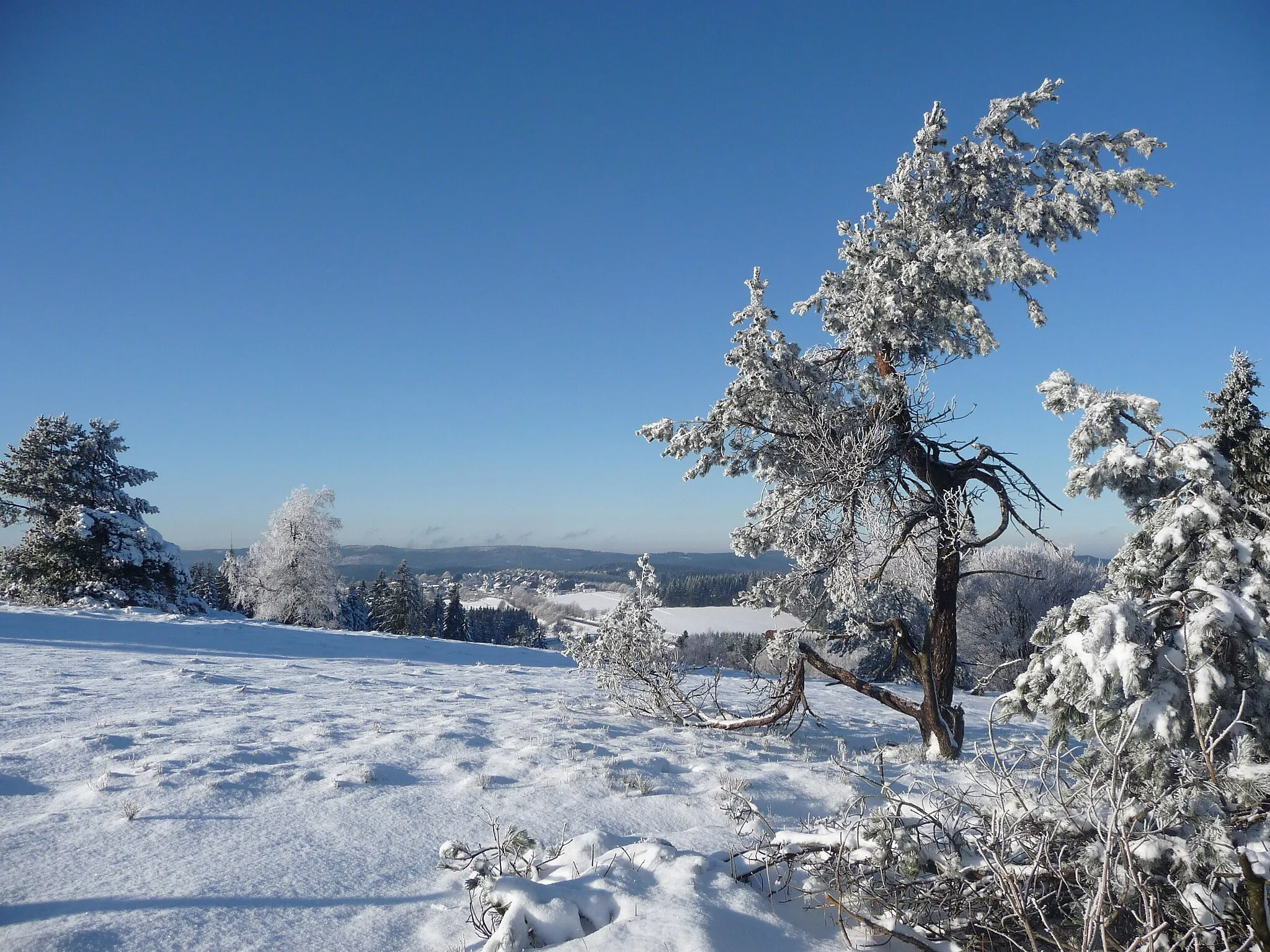 Photo showing: Winter im Naturschutzgebiet „Kahler Asten“ am Kahlen Asten in Winterberg